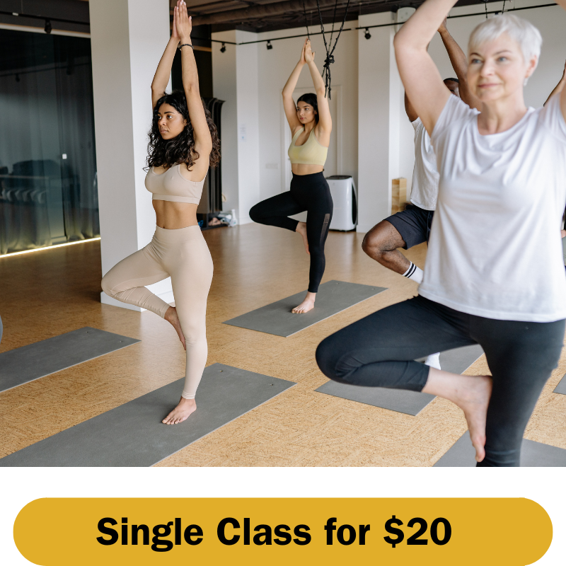Restorative & Resilient Yoga - Single Class