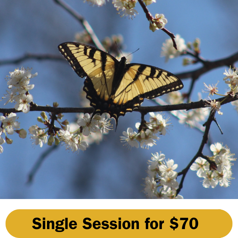 Infertility Support Group - Single Session