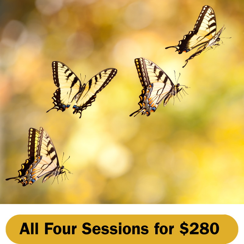 Infertility Support Group - All Four Sessions