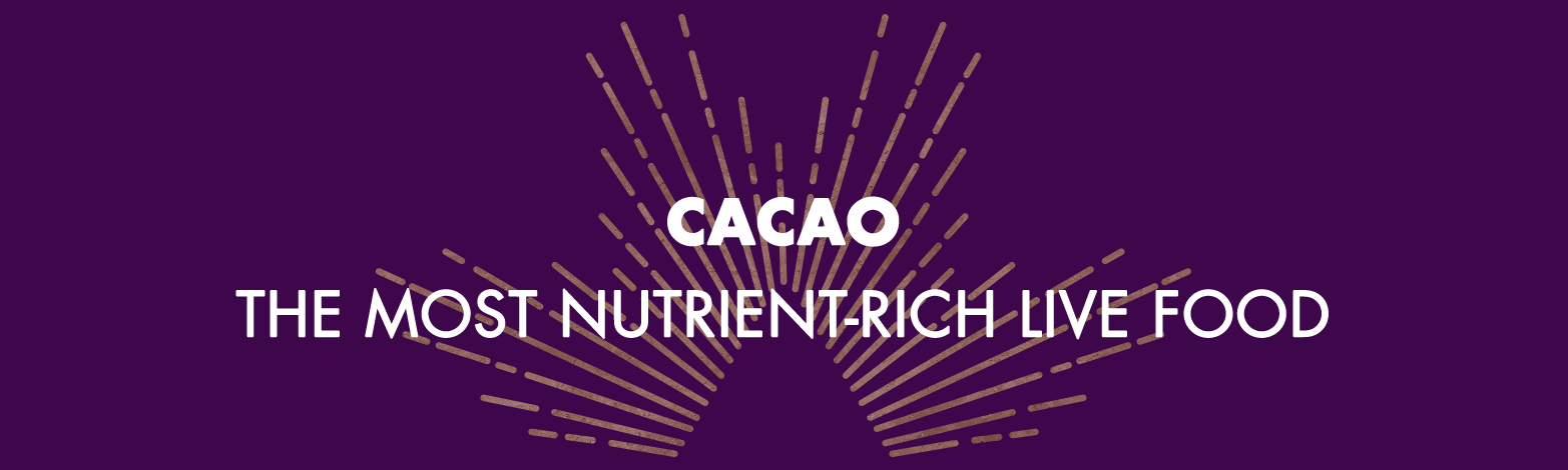 Purple-Banner-3.png