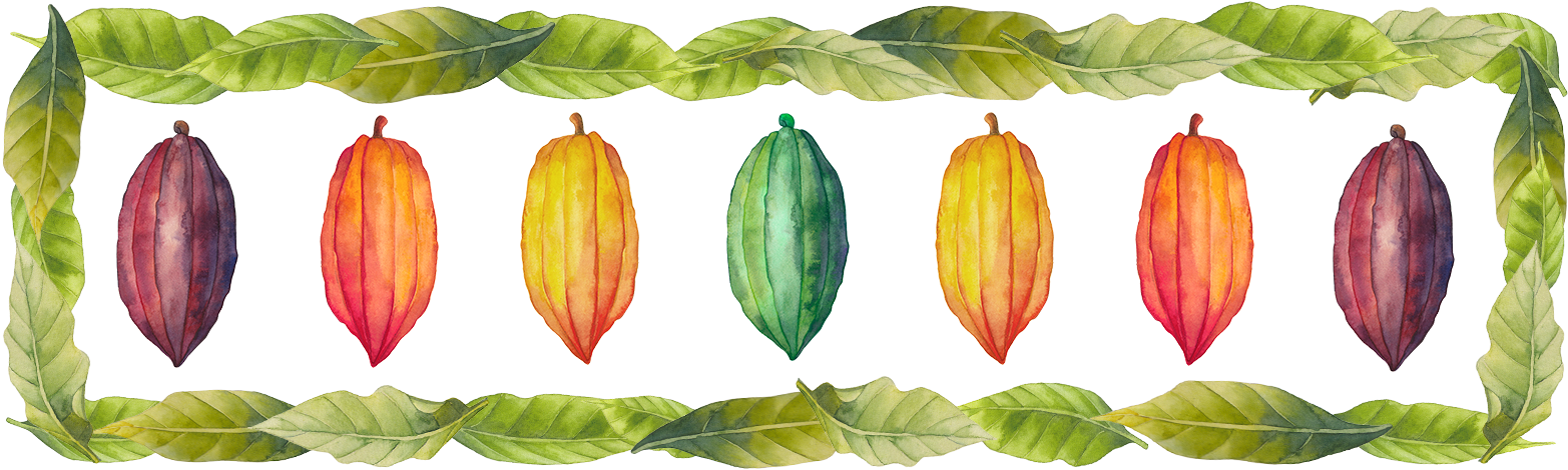 Cacao-Banner.png