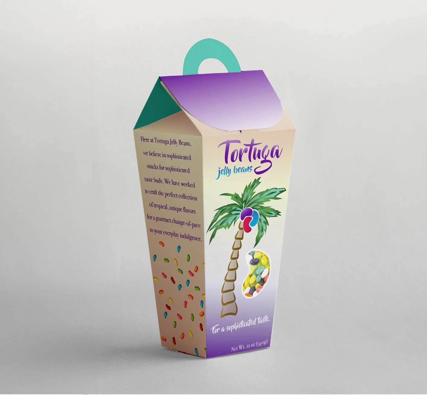 Tortuga+Mock-Up copy.jpg