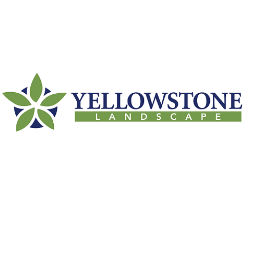 Yellowstone Landscape company logo with a green and blue stylized flower and the company name in blue and green text.