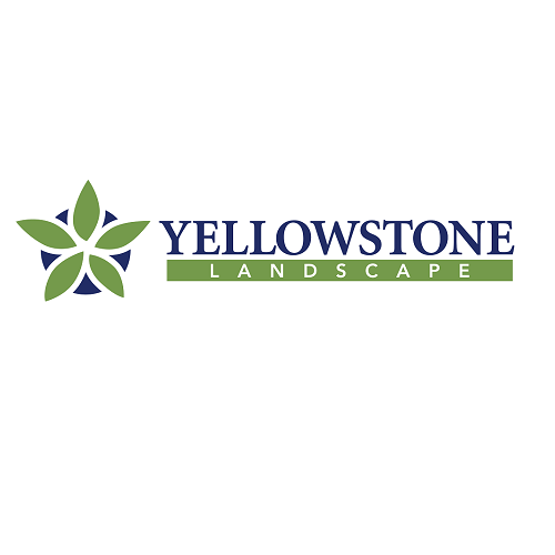 Yellowstone Landscape logo with stylized green and dark blue floral design and the company's name.