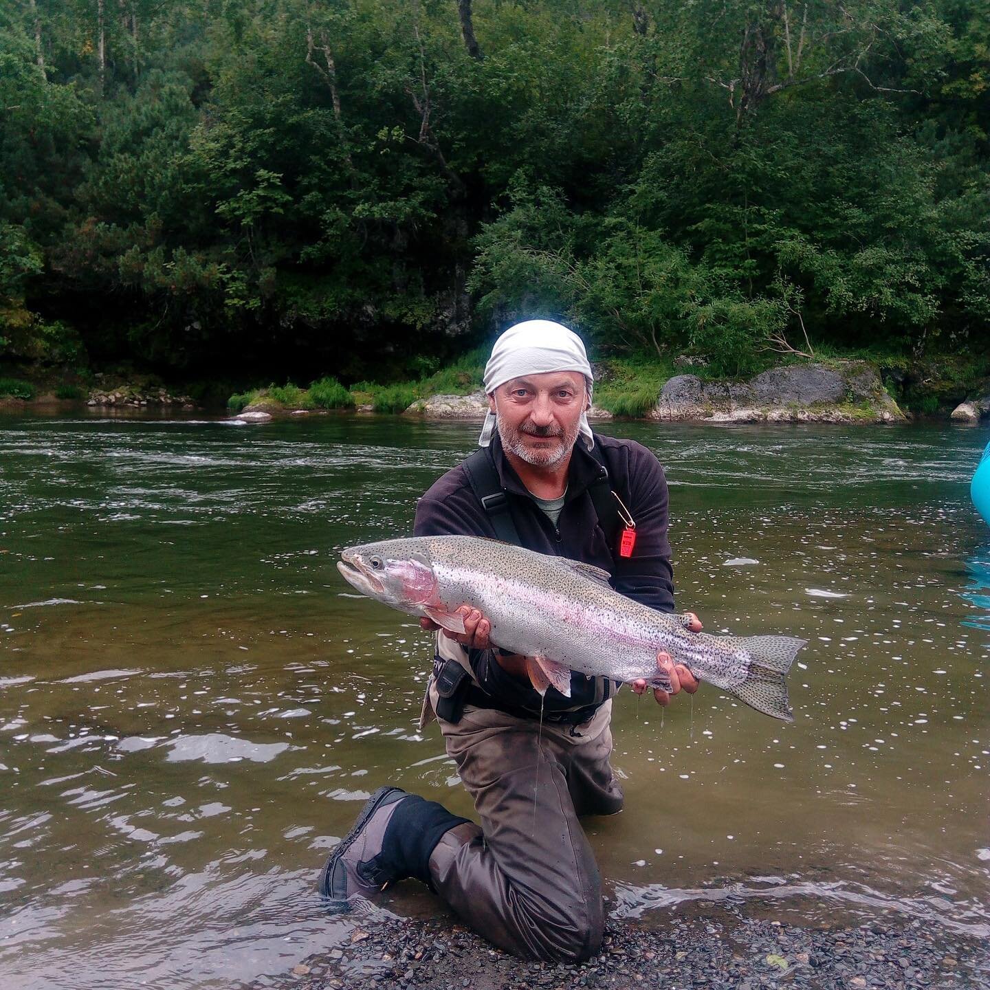 They got some big ones in Kamchatka, Russia
#kamchatka #Russia #troutfishing #russianrivers #flyfishing #troutflyfishing #ouzel #ouzelexpeditions #troutunlimited #keepemwet #russiaflyfishing #catchandrelease #rainbowtroutfishing #riverrafting