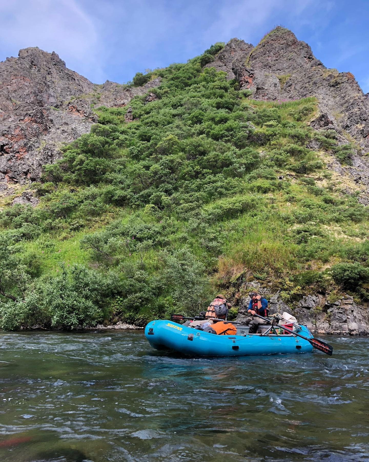 Good old American creek float, circa 2019.
#alaskariverrafting #rainbowtrout #alaskariver #alaska #trout #flyfishing #alaskaflyfishing #troutflyfishing #ouzel #rainbowtroutfishing #catchand #release #troutunlimited #alaskatroutunlimited #ouzelexpedit