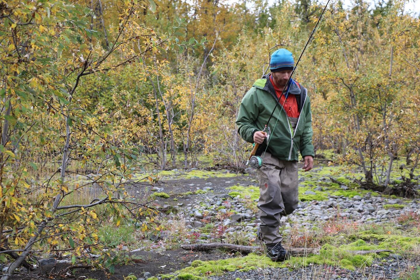 A wild fisherman emerging from the Kanektok wilderness.
#kanektok #kanektokriver #riverrafting #flyfishing #alaskaflyfishing #keepemwet #catchandrelease #silversalmon #alaska #salmonfishing #alaskafishing #troutunlimited #ouzel #ouzelexpeditions