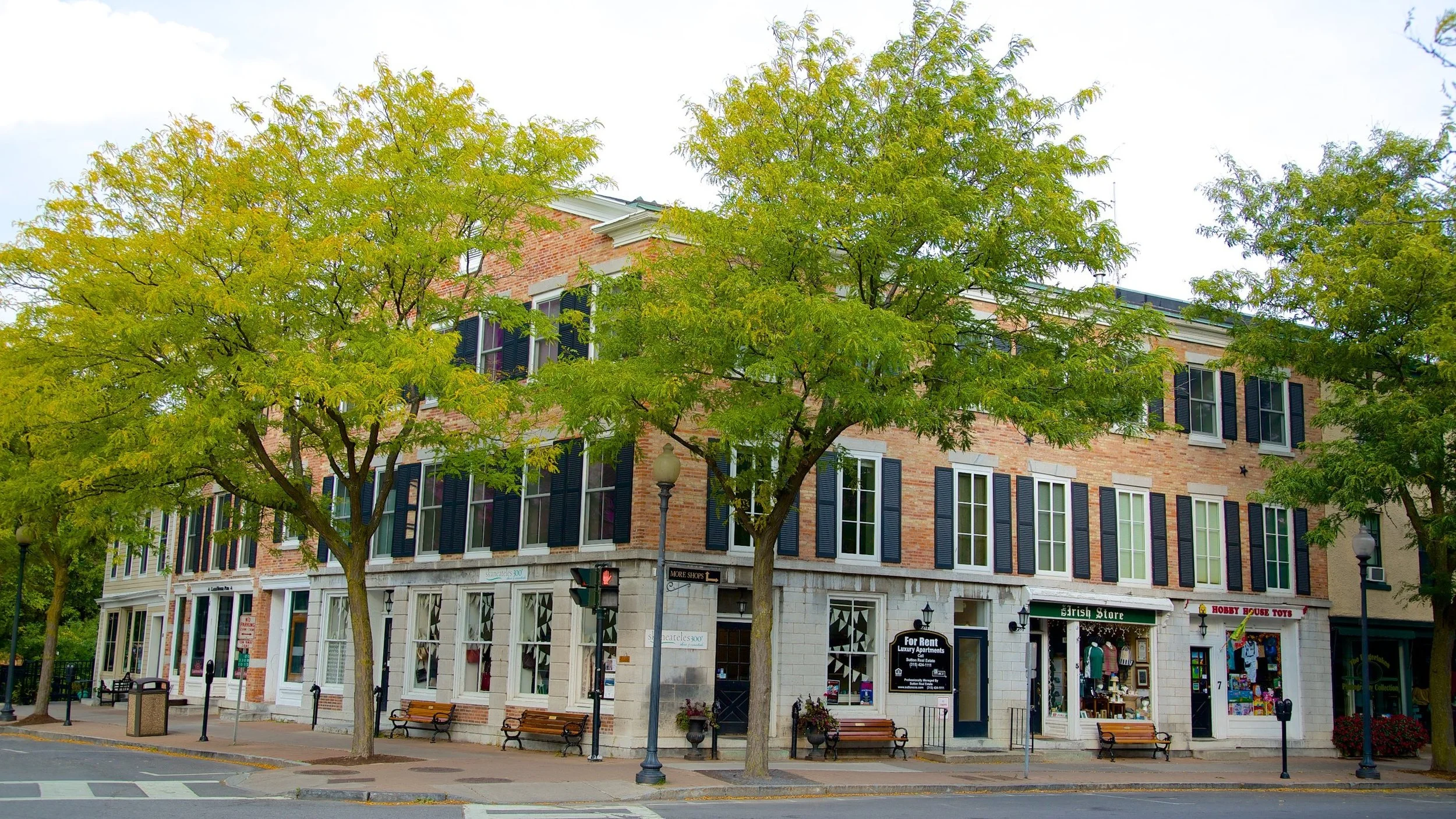 Skaneateles Curbstone Festival