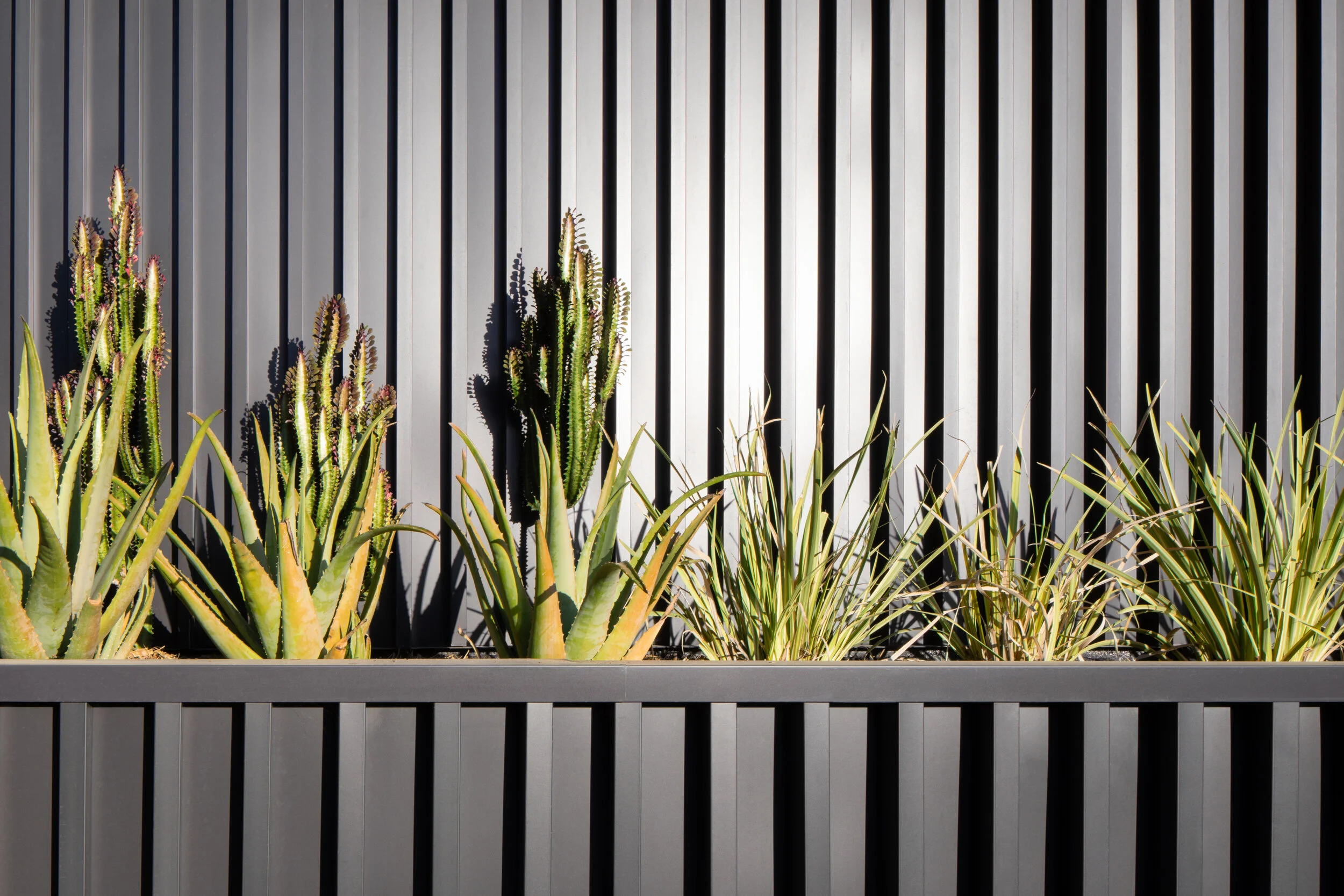 0.2 josh-cho-photography-rees-studio-3.jpg