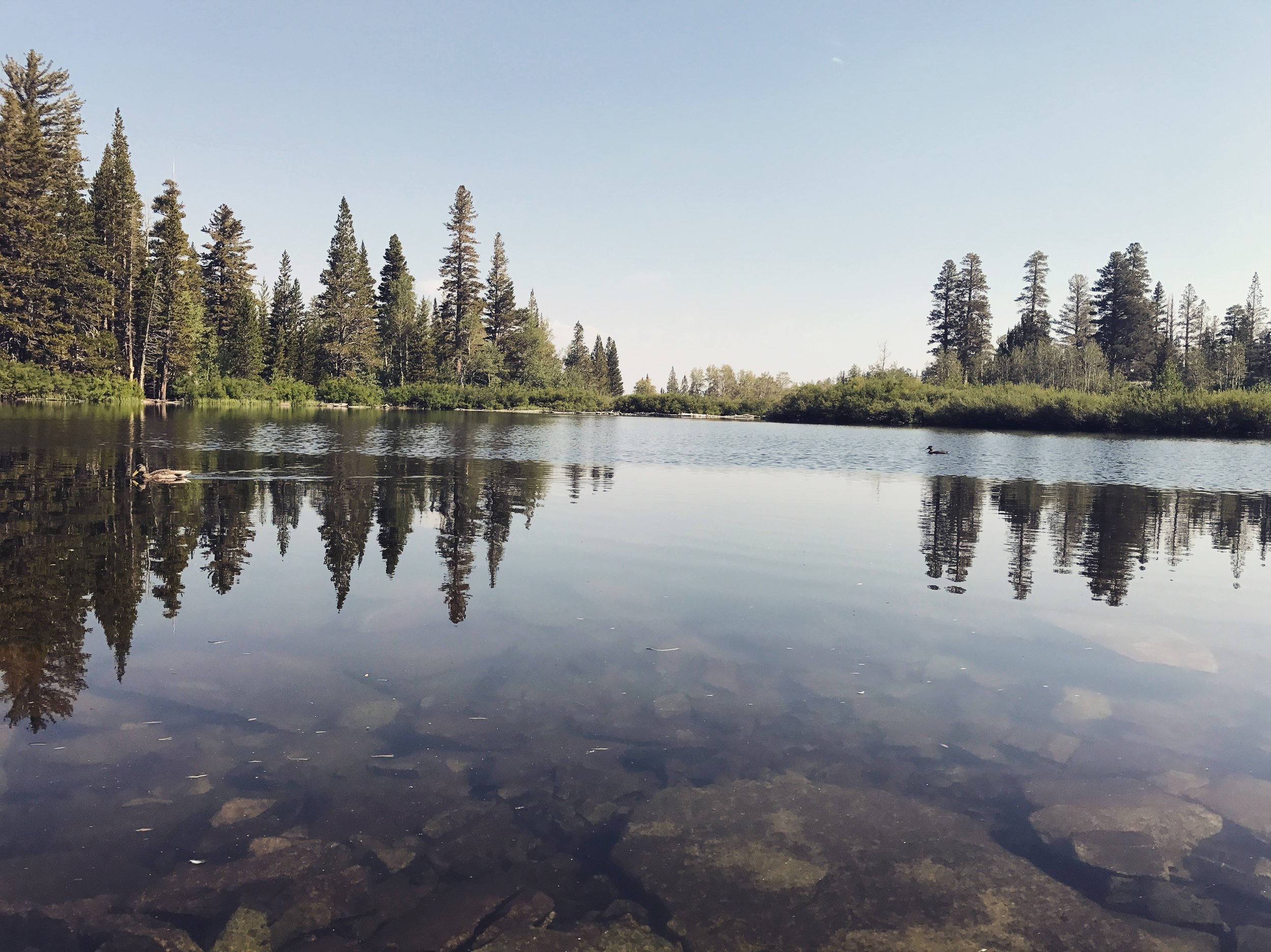 Yost Lake.jpg