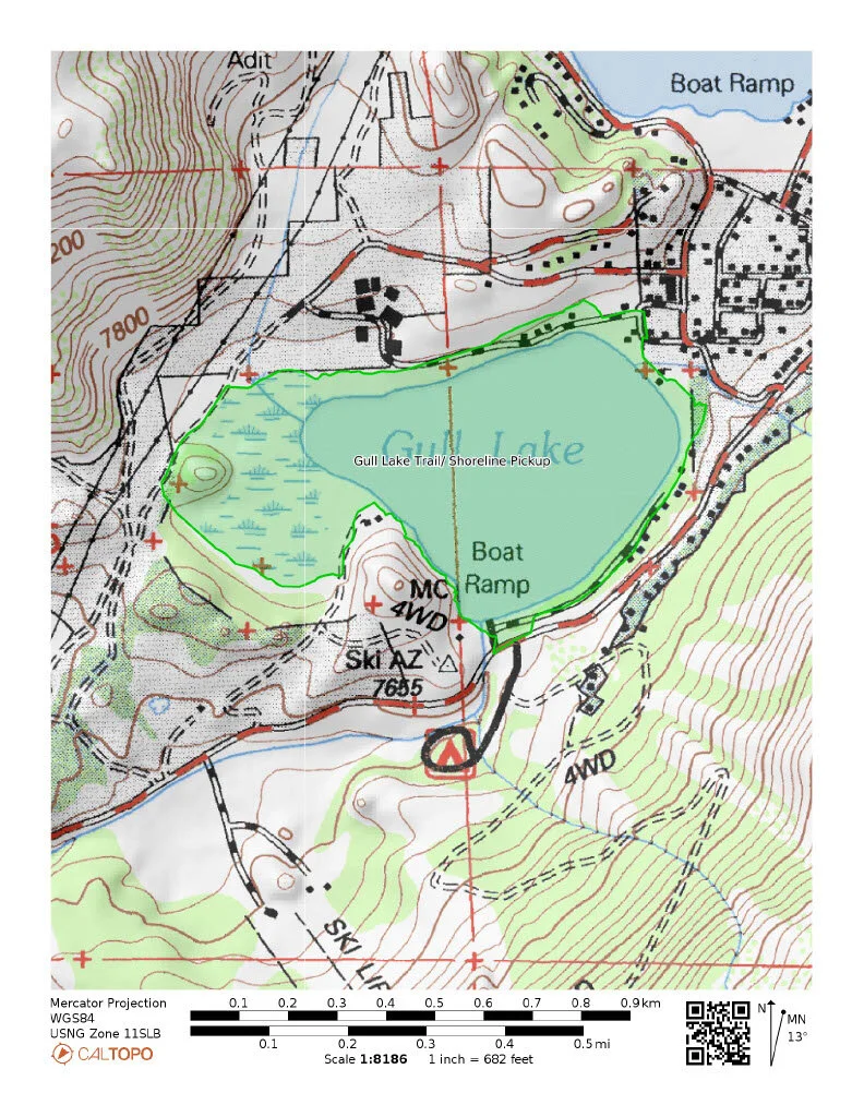 Gull Lake Shoreline