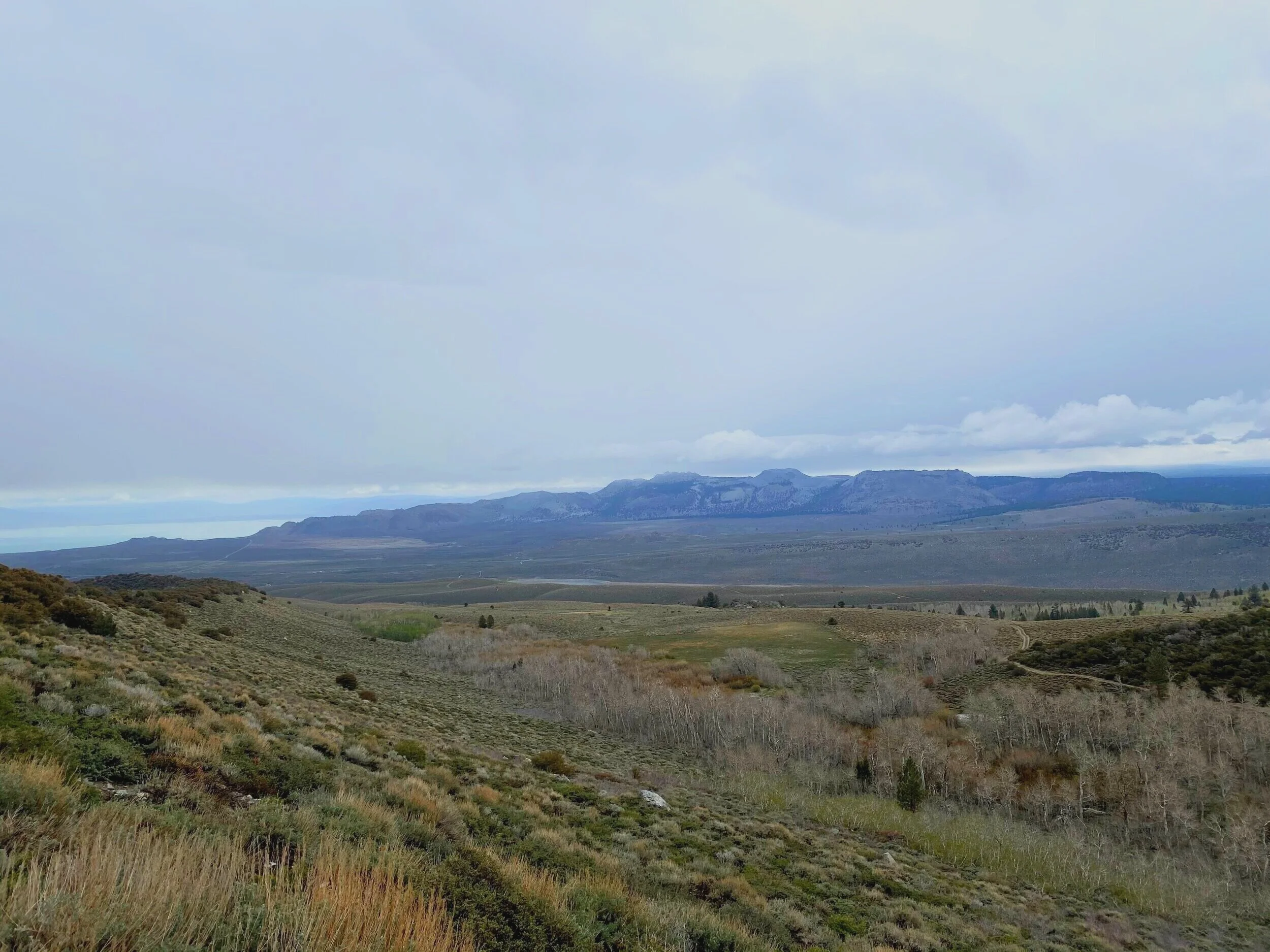 View from Parker Bench of Mono Lake and Craters.