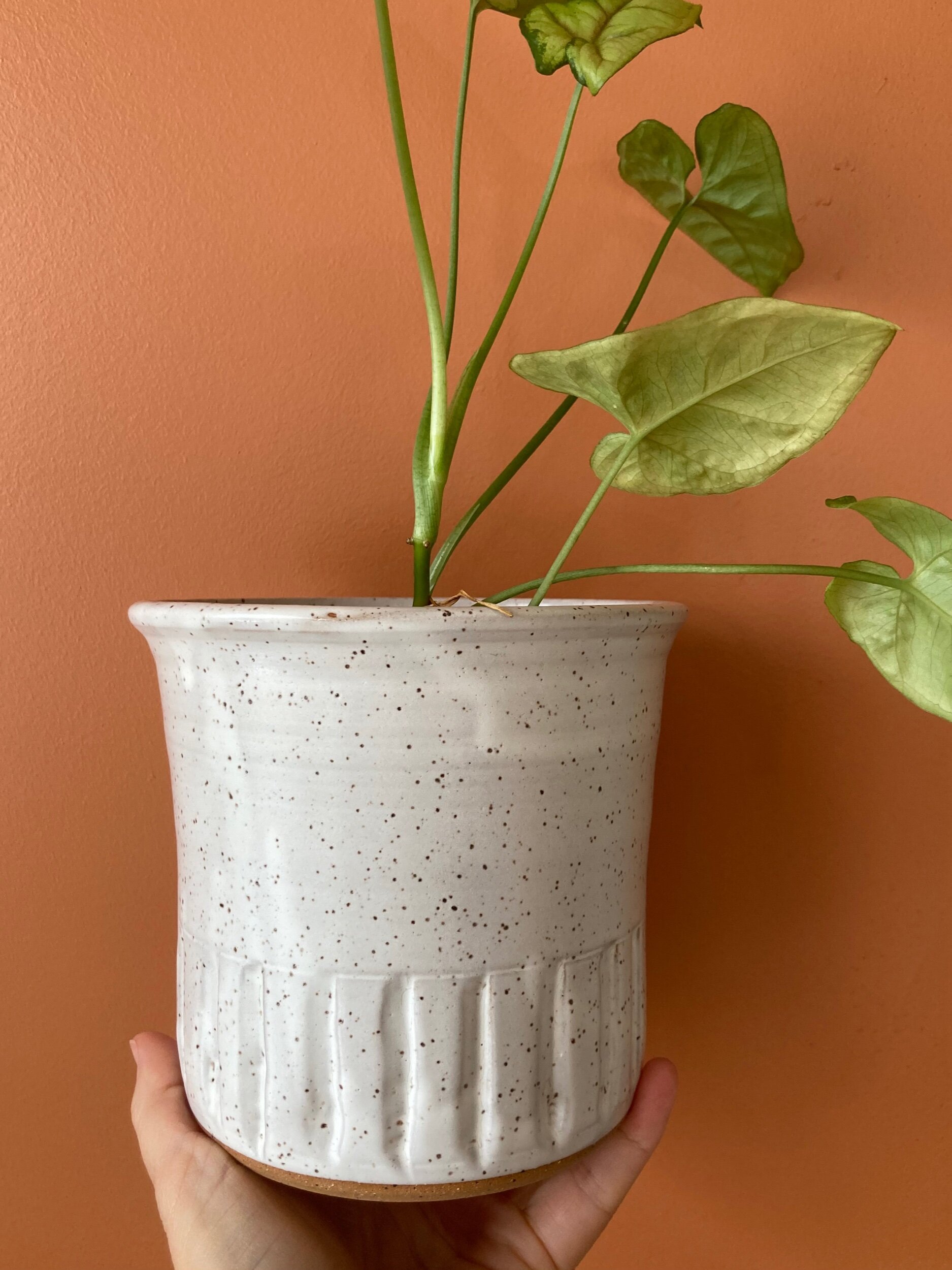 E9470FF4-9C43-444D-B968-BFE32A5993C2