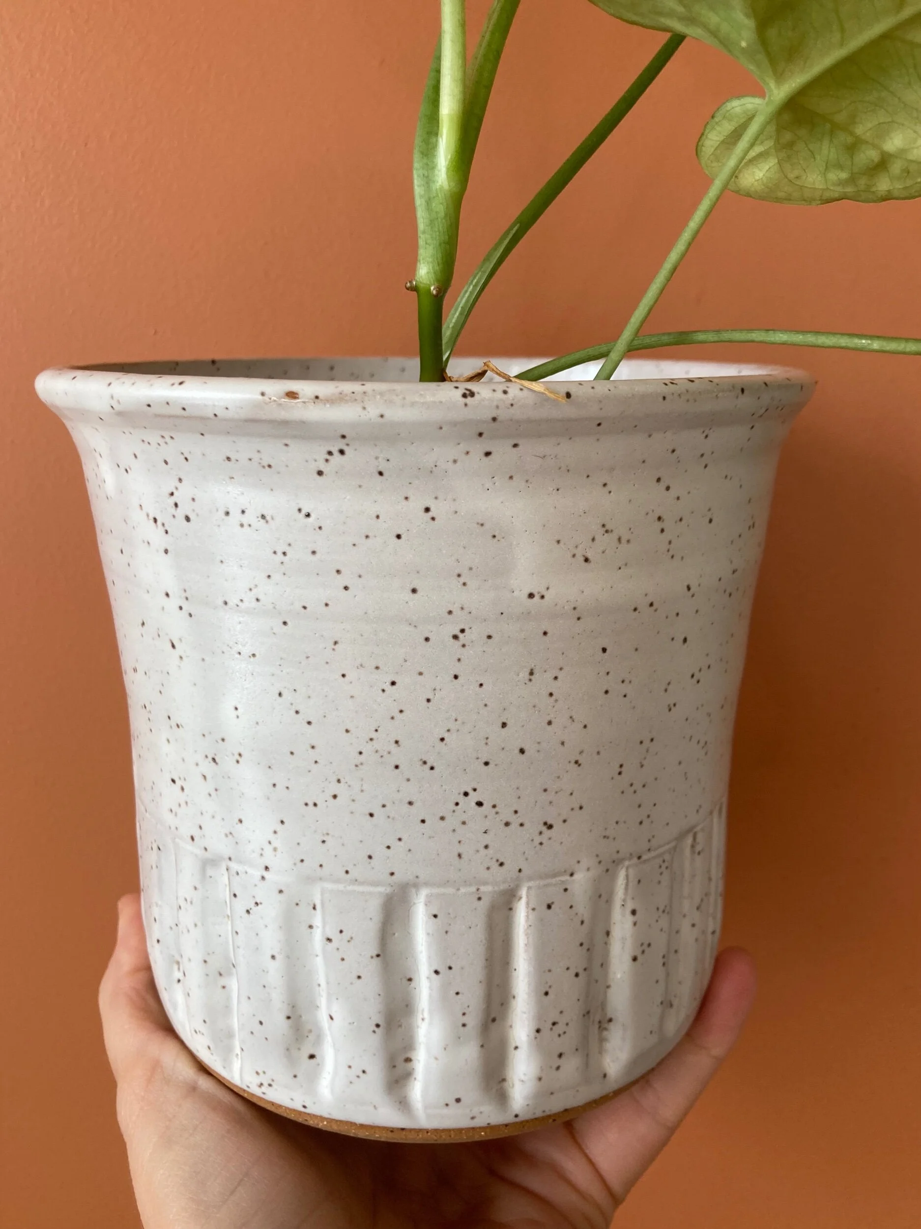 9276EE3A-B777-4CEB-8B23-3A9EDC5DFF9B