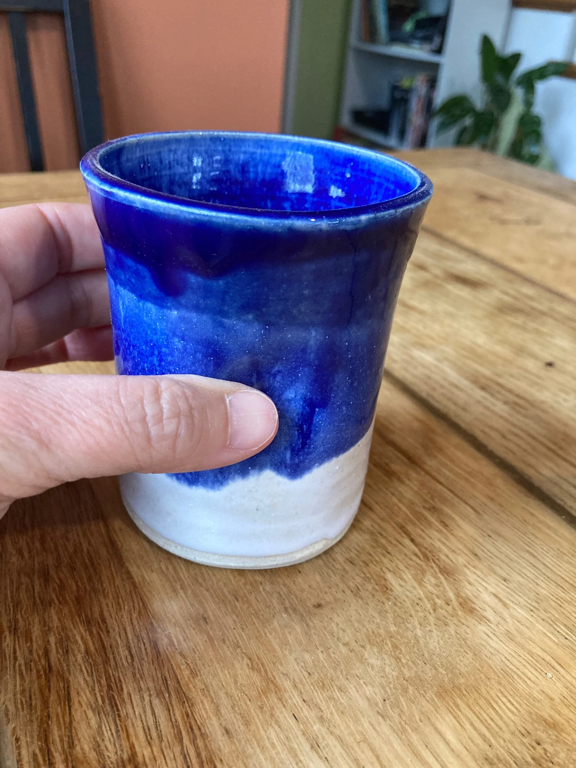 F22FFAA9-2E8D-4326-ACAF-34B329D8F0CE