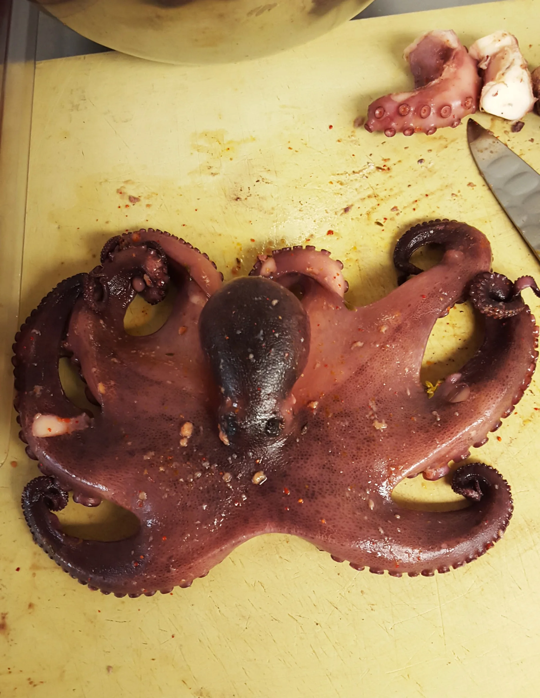 pulpo.jpg