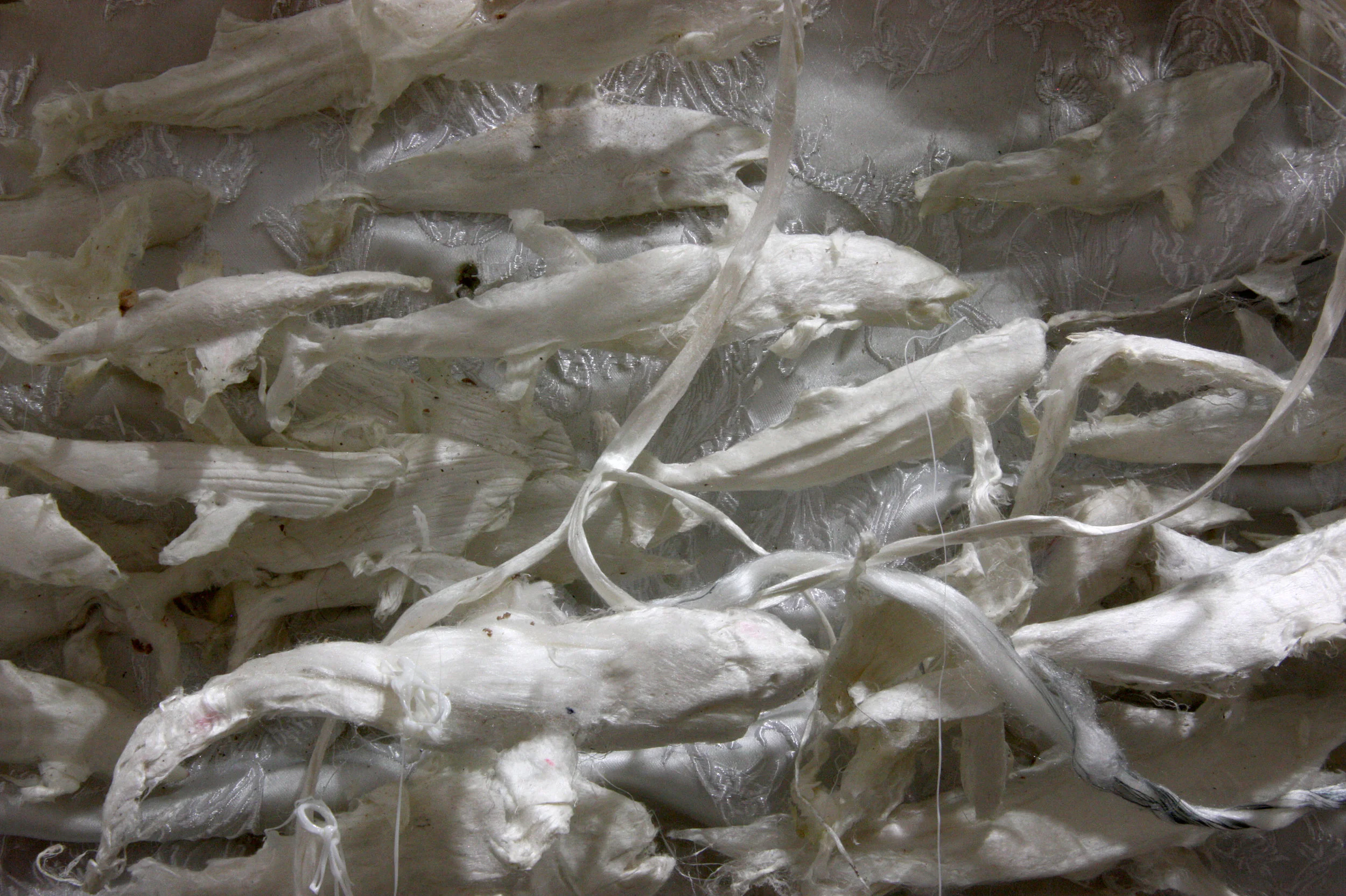 The beagle, neptune and the ancient mariner.  (Silk reliefs series). 2018