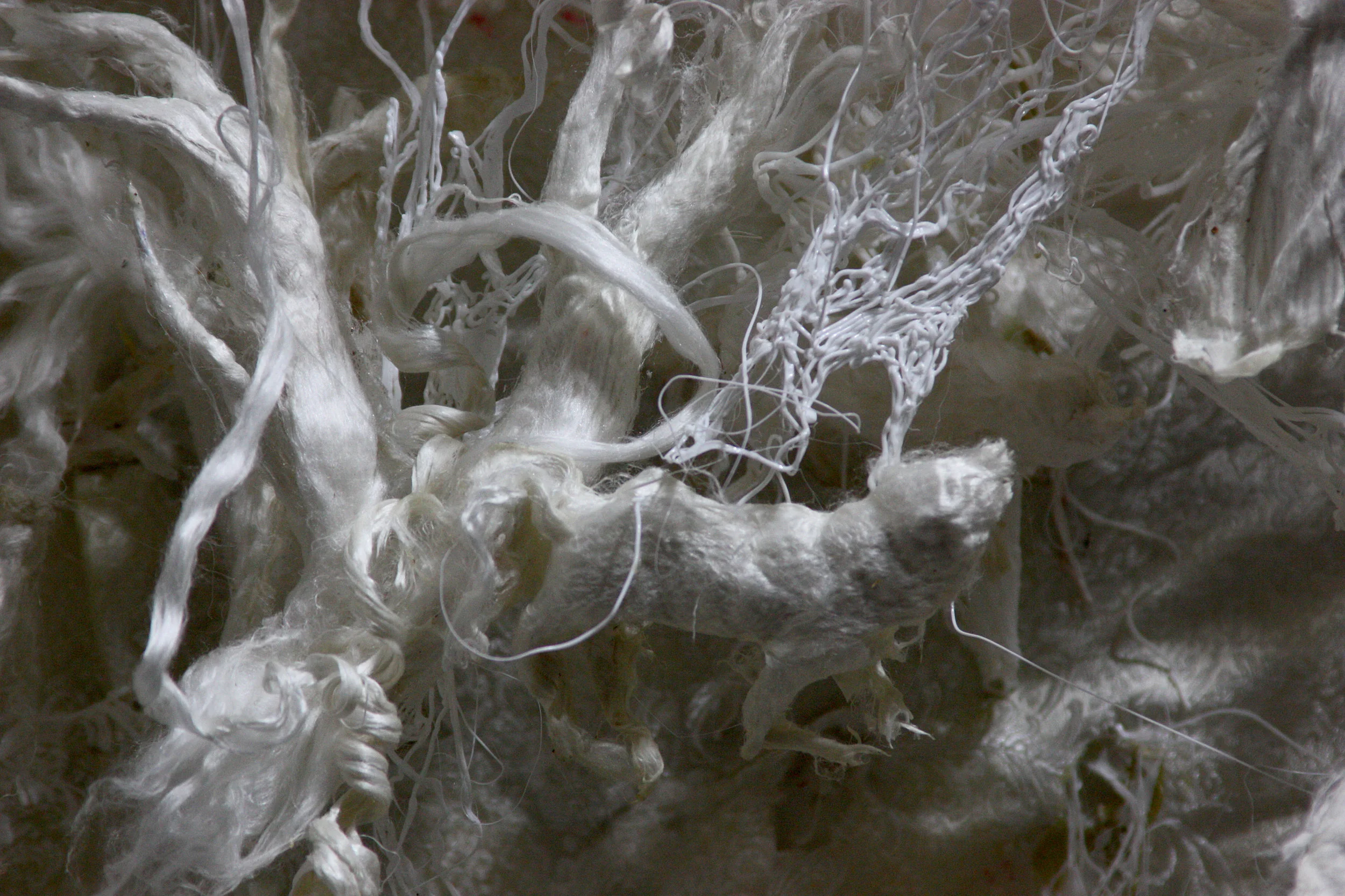 Diana and the wolves, (Slk relieves series). (2018)