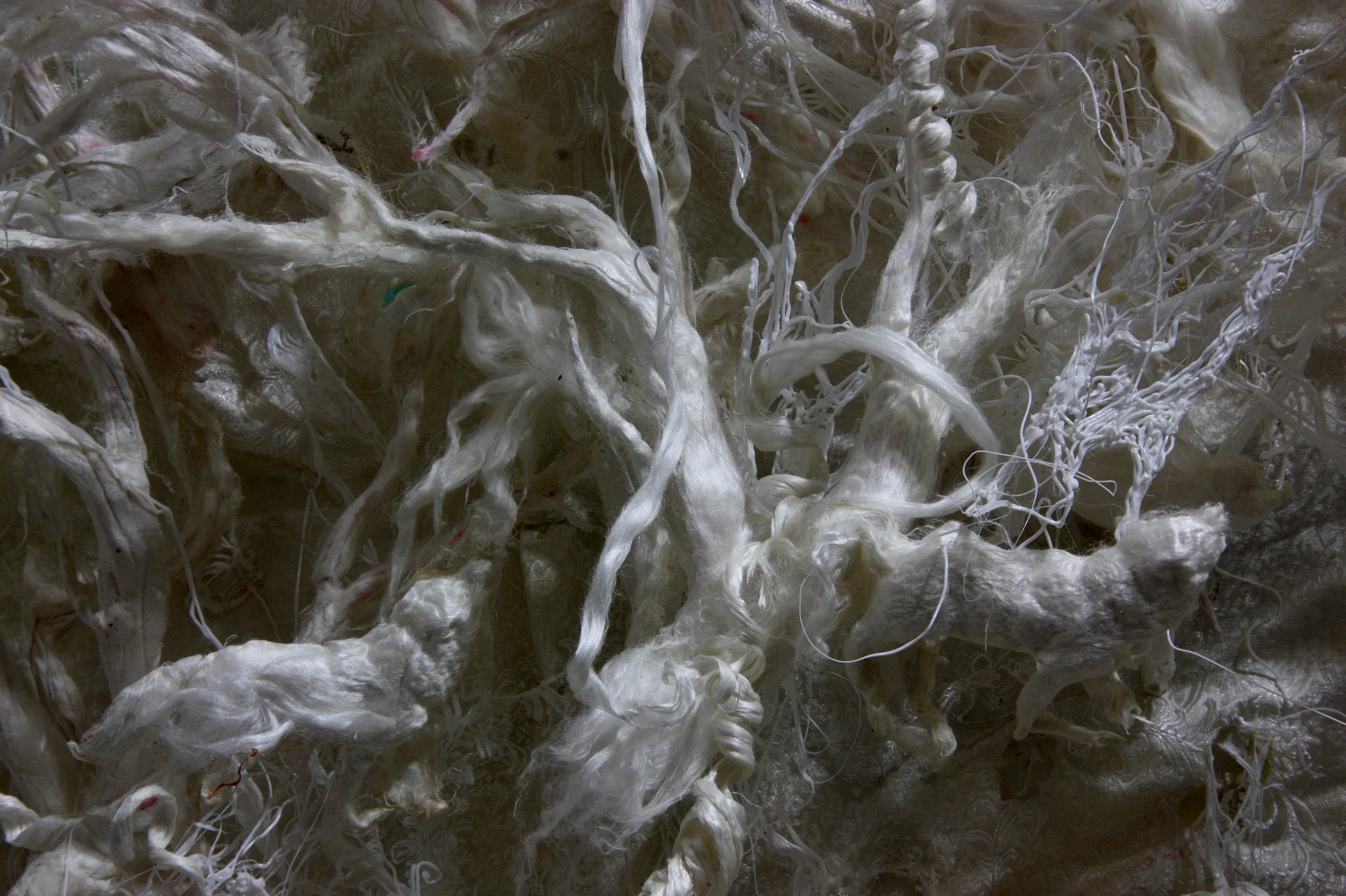 Diana and the wolves, (Slk relieves series). (2018)