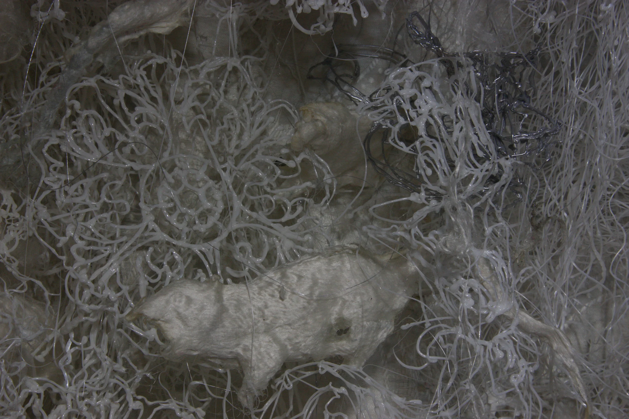 Darwin's garden. (Slk relieves series). (2018)