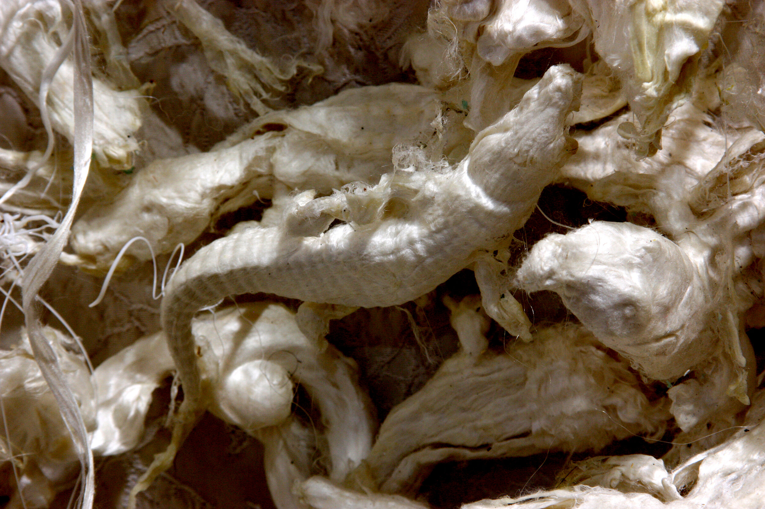 Saint Michael in the entangled bank (detail).  (Silk reliefs series). 2018