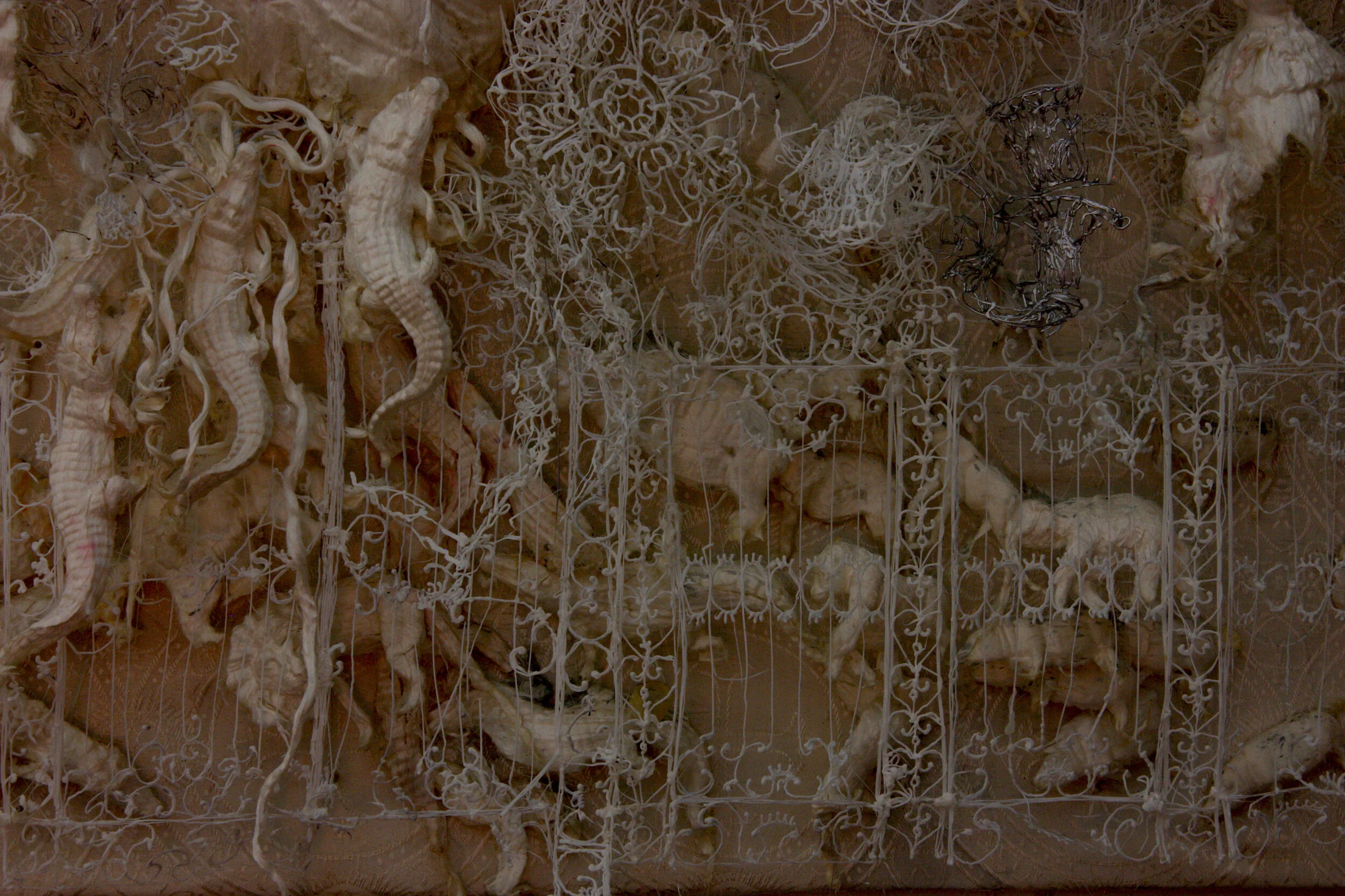 Darwin's garden. (Slk relieves series). (2018)