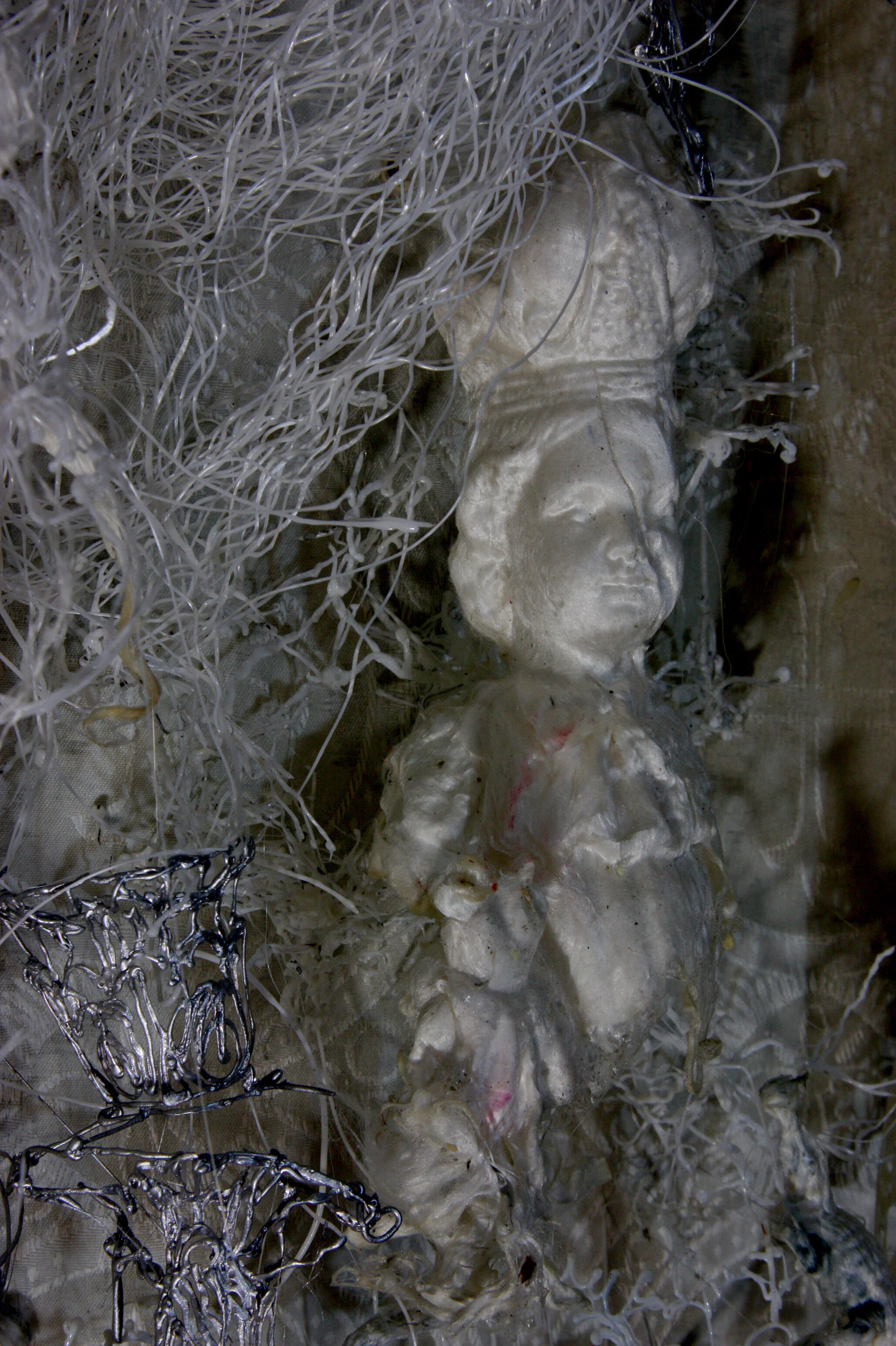 Darwin's garden. (Slk relieves series). (2018)