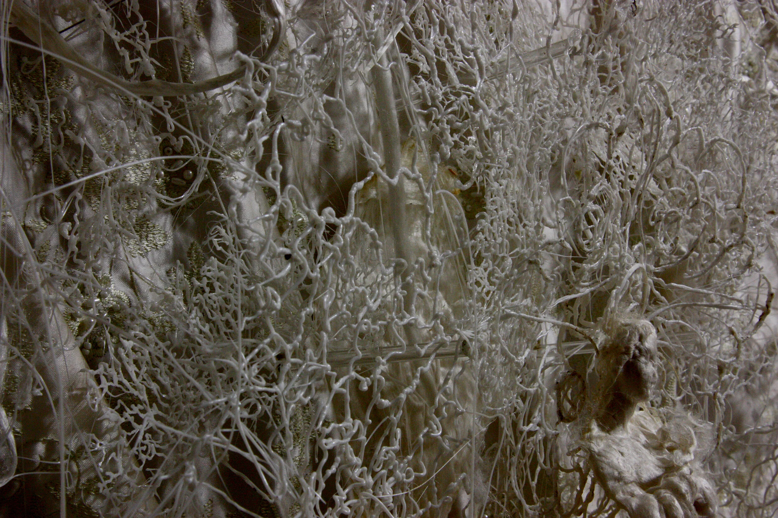 The wild horses circuit. (Silk relieves series). 2018)