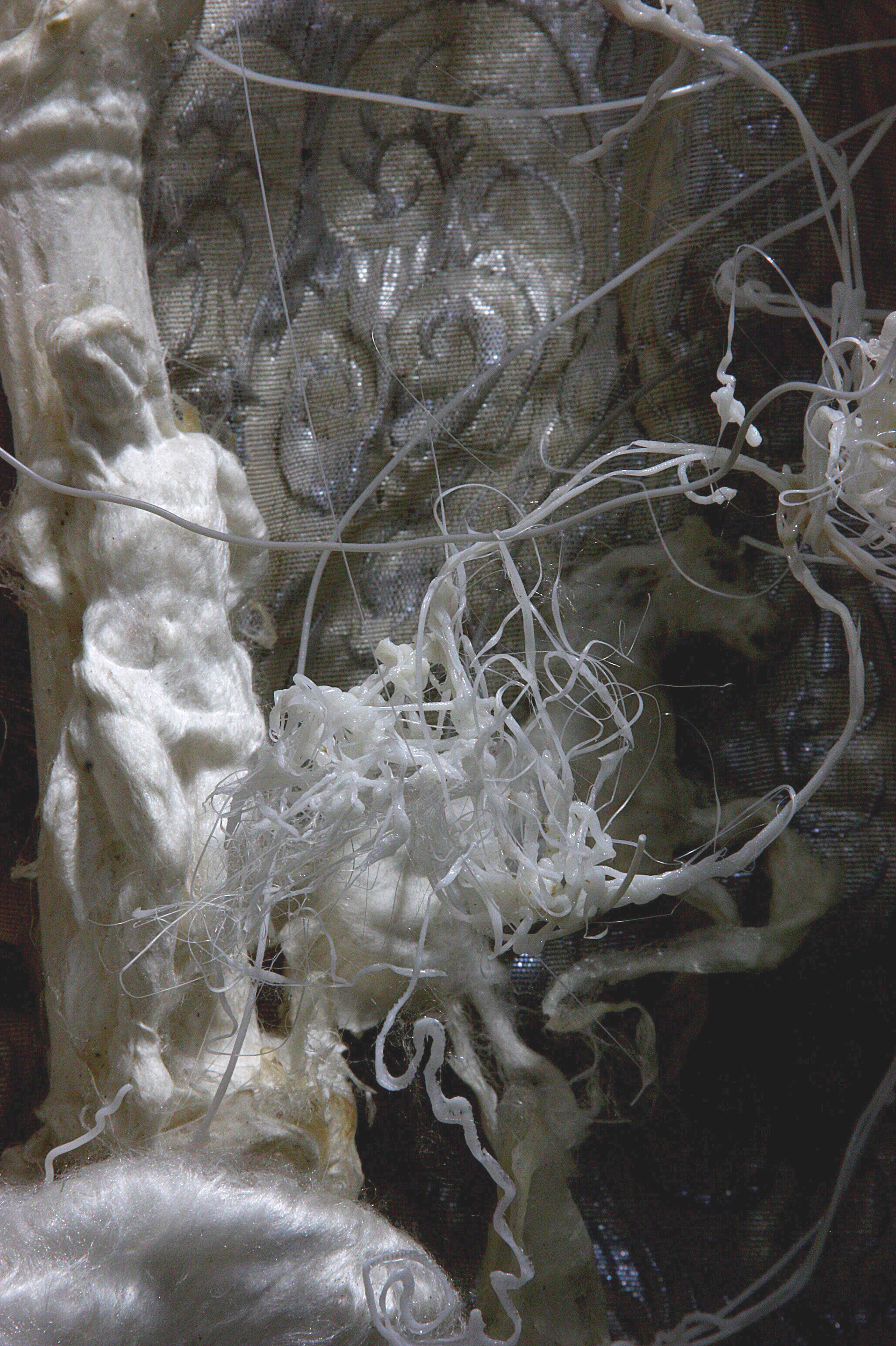 The garden of degenerated nerves.  (Silk reliefs series). 2018