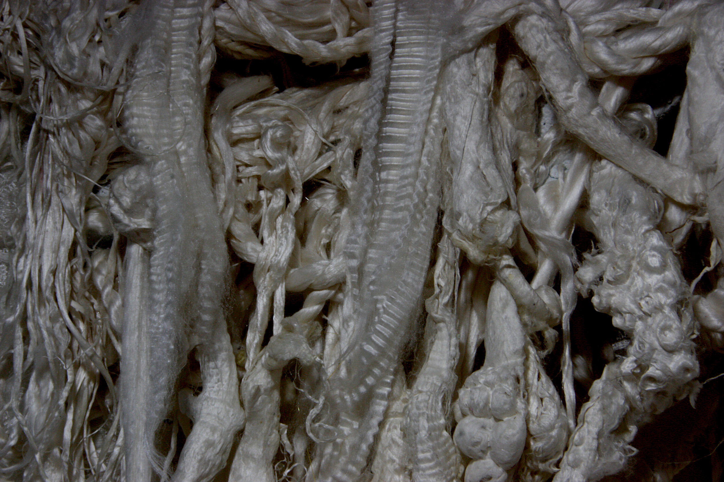 Limbic Lamellae. (Silk relieves 2.0 series). (2020)