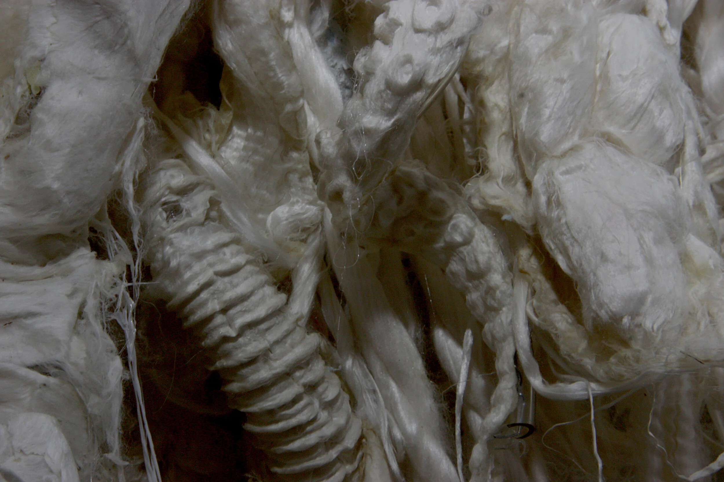 Limbic Lamellae. (Silk relieves 2.0 series). (2020)