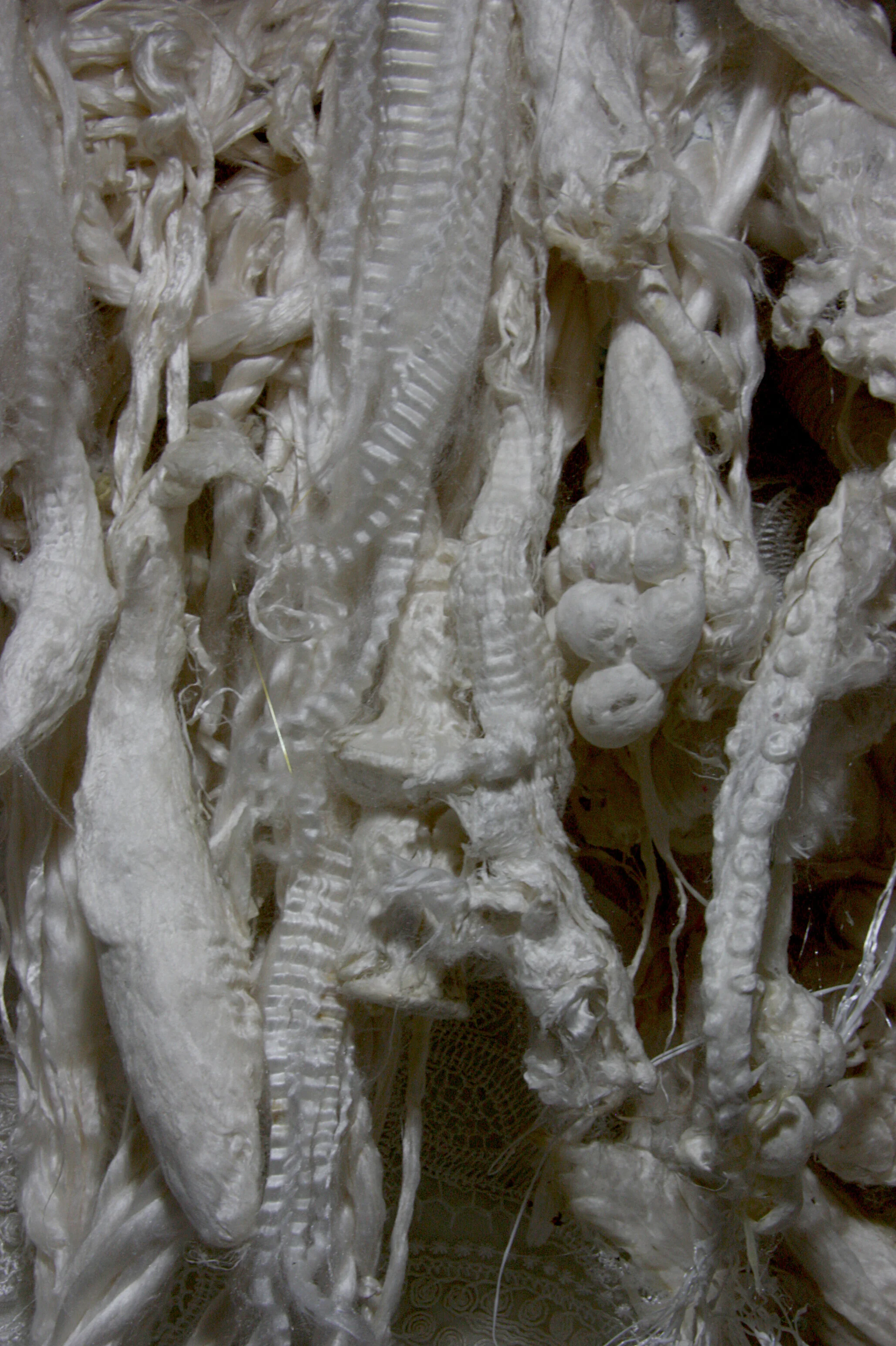 Limbic Lamellae. (Silk relieves 2.0 series). (2020)