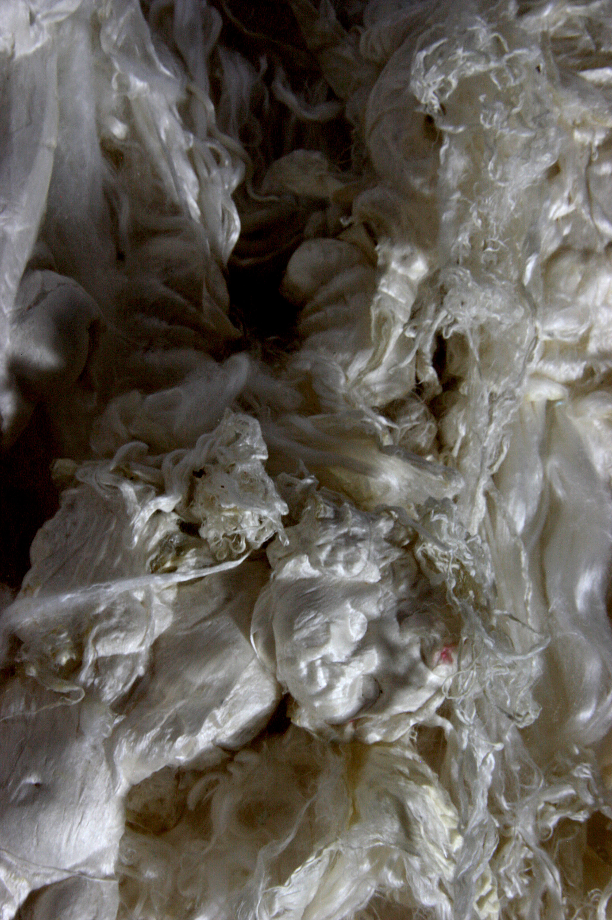 Alzheimer and nostalgia