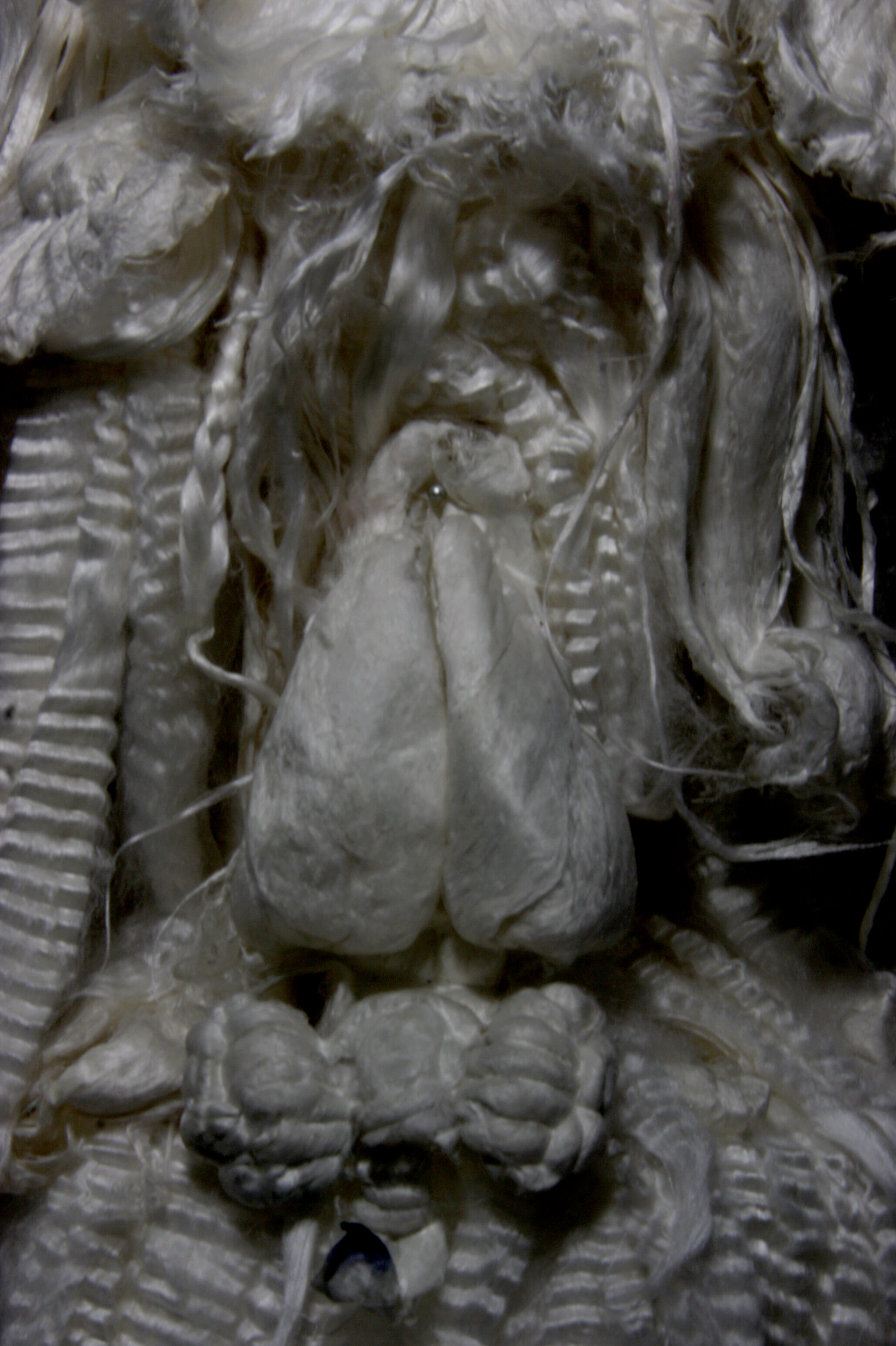 Alien migration bust 03