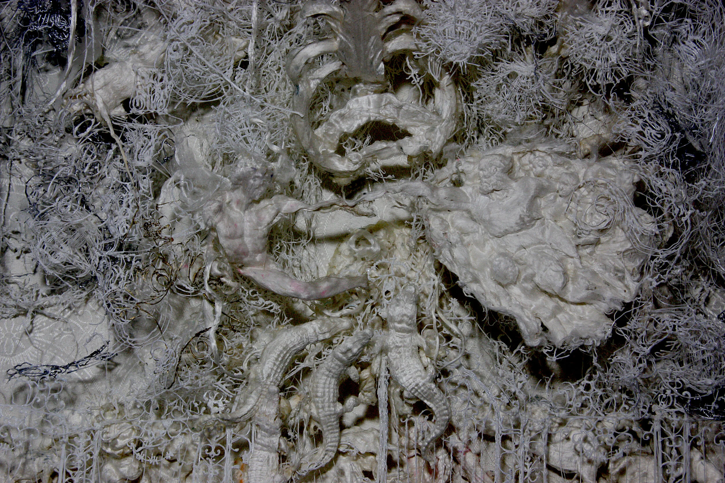 Darwin's garden. (Slk relieves series). (2018)