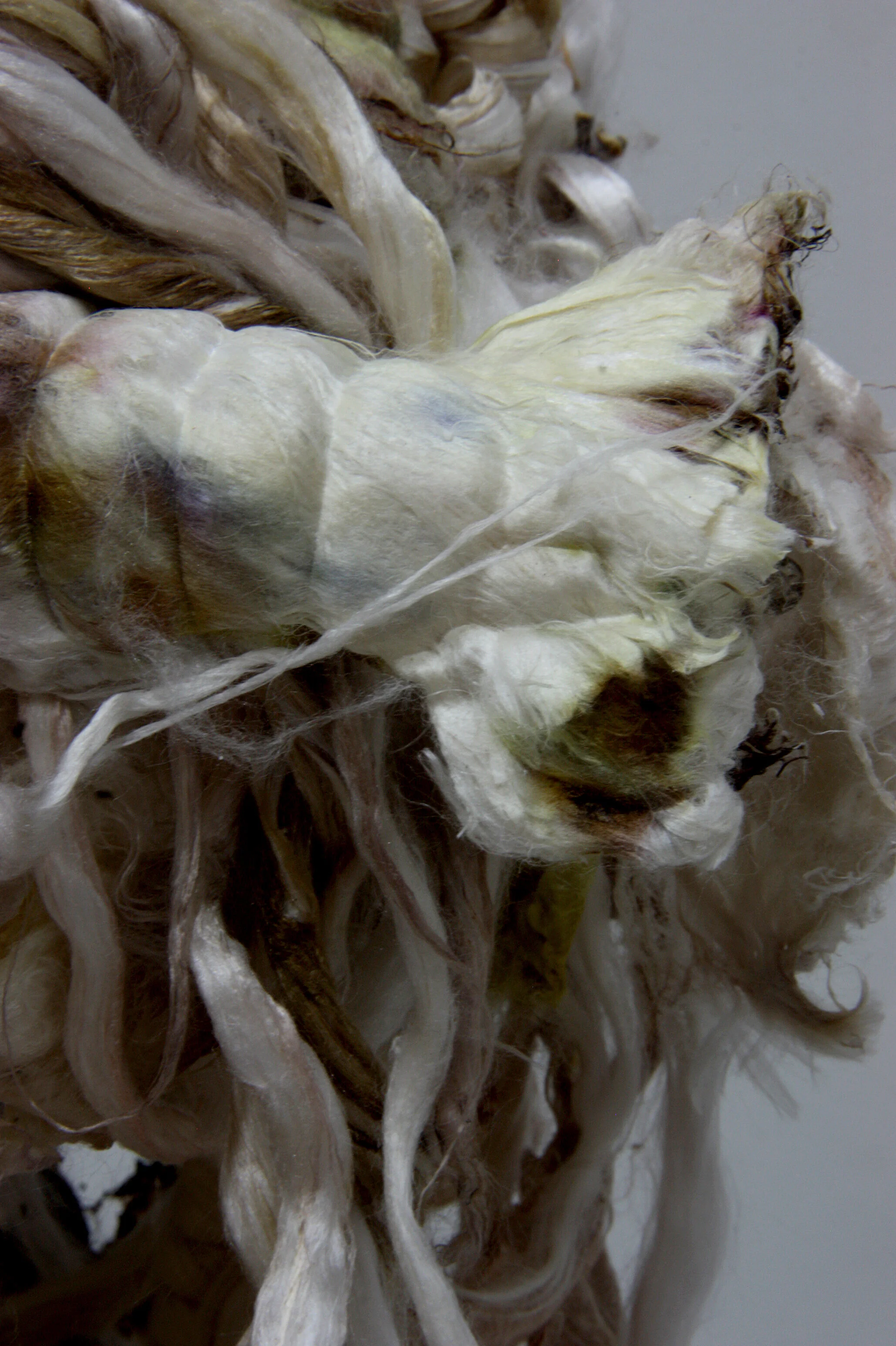 Cyclope. Cyclope. (Marble veins series).  (2020)