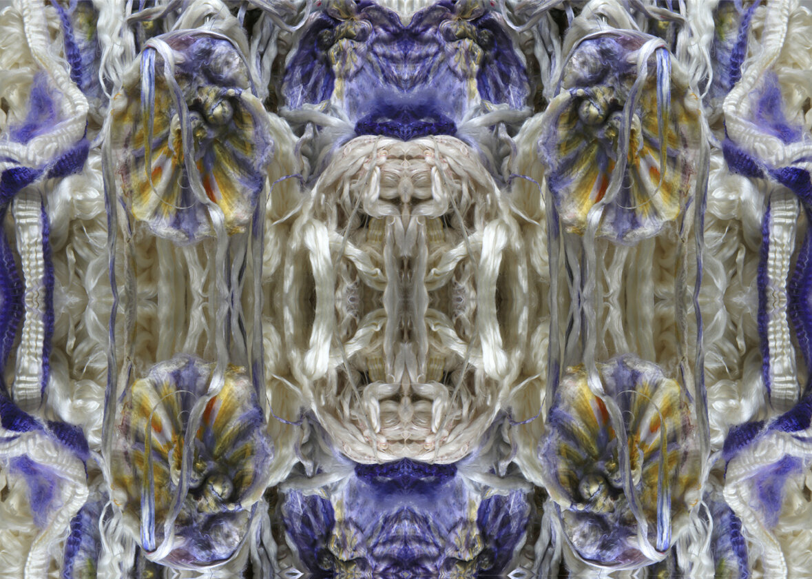 Florentine wallpaper (detail). (Hallucinatory wallpaper series) (2020)