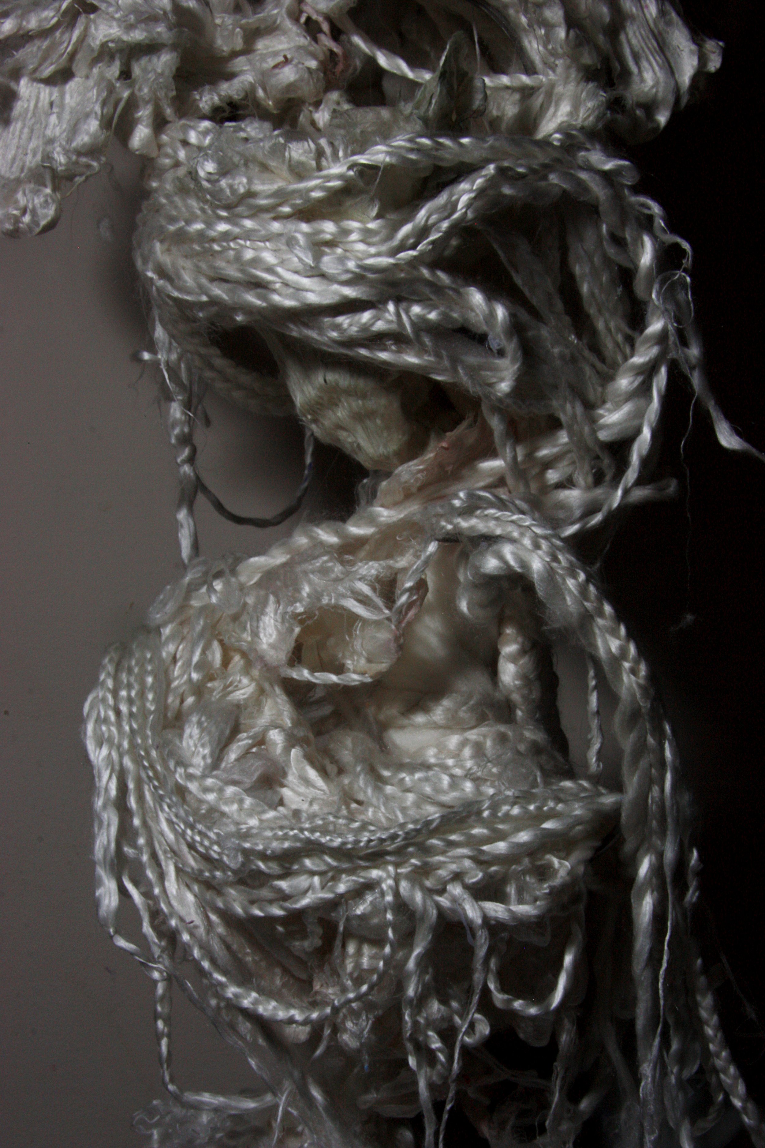 Snake nest consciousness. (Scifi series).  (2023)