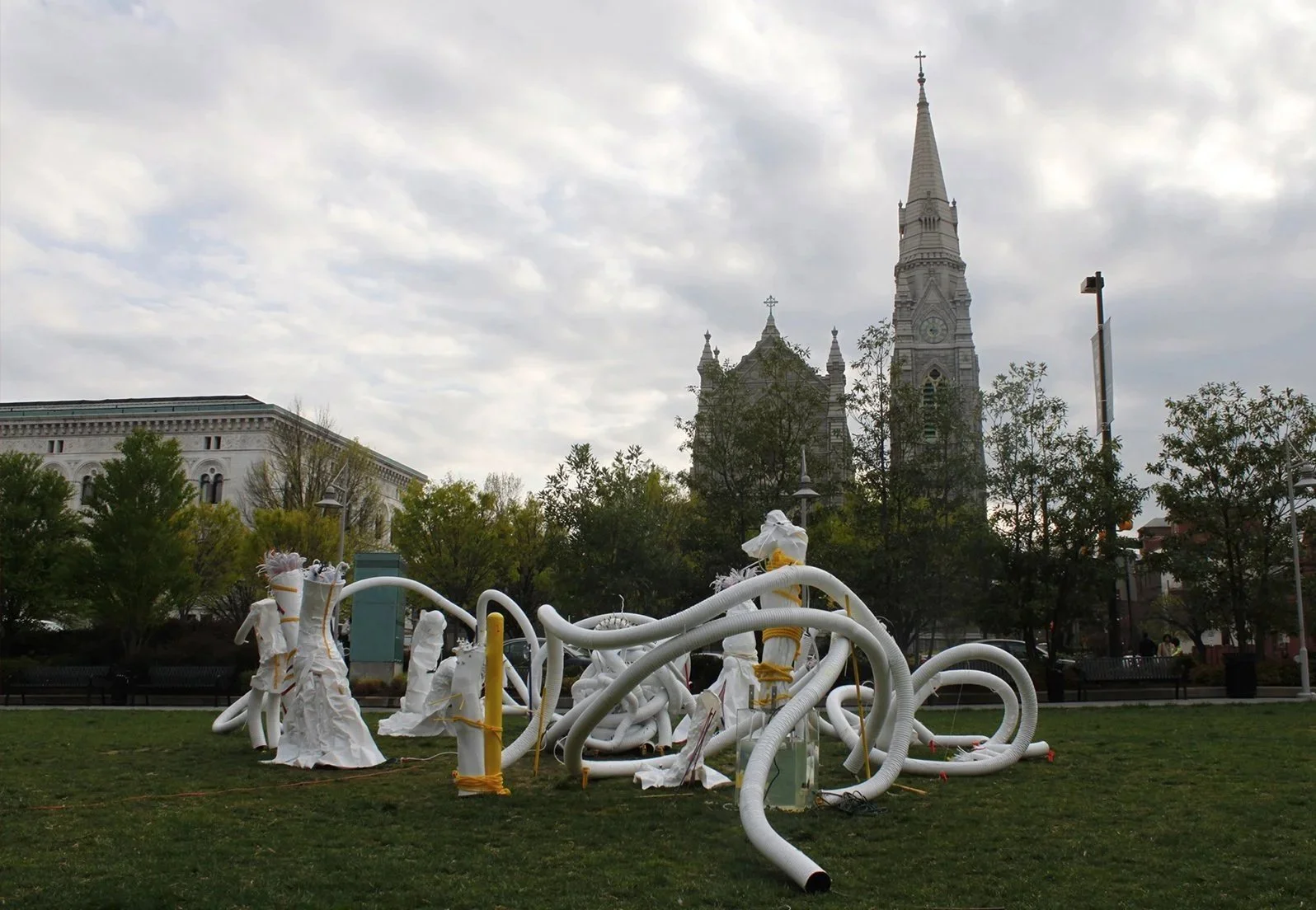 The degeneration garden