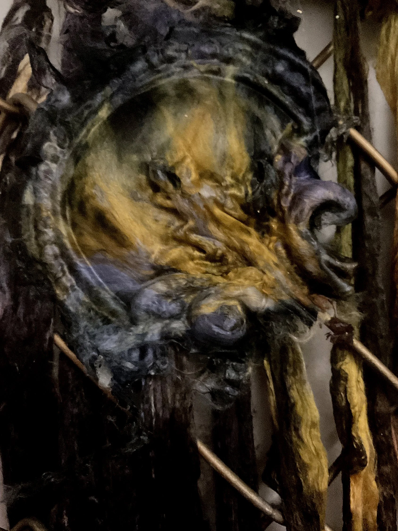 BACH neuronal network