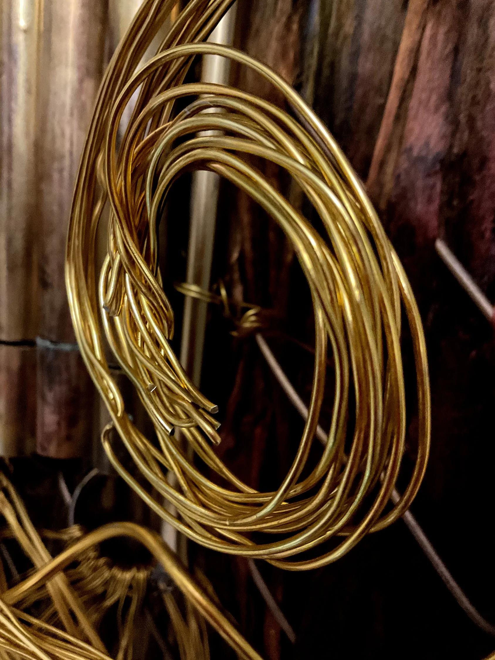 BACH neuronal network