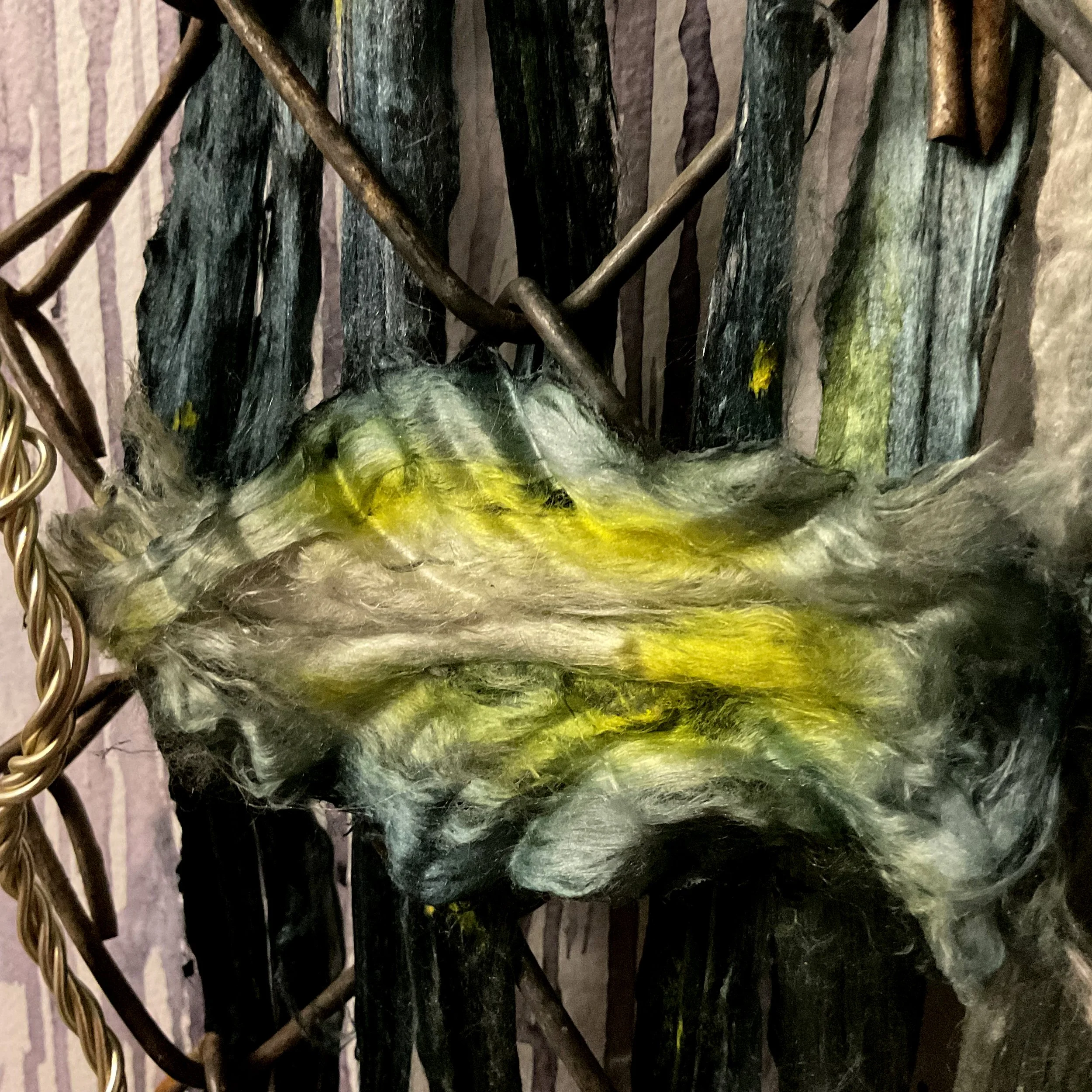 Saint Peters Basilic as an AI bird cage