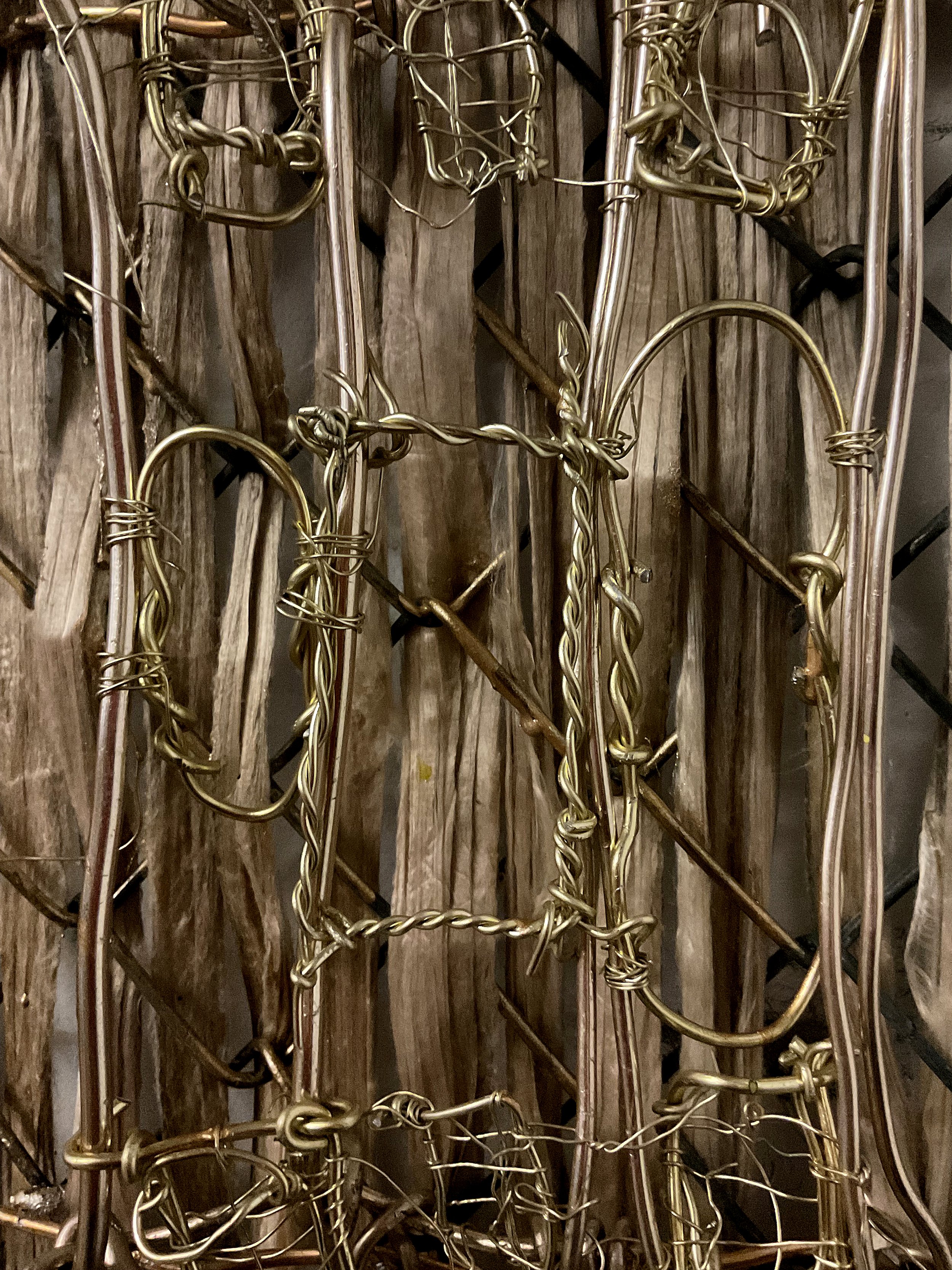 Saint Peters Basilic as an AI bird cage