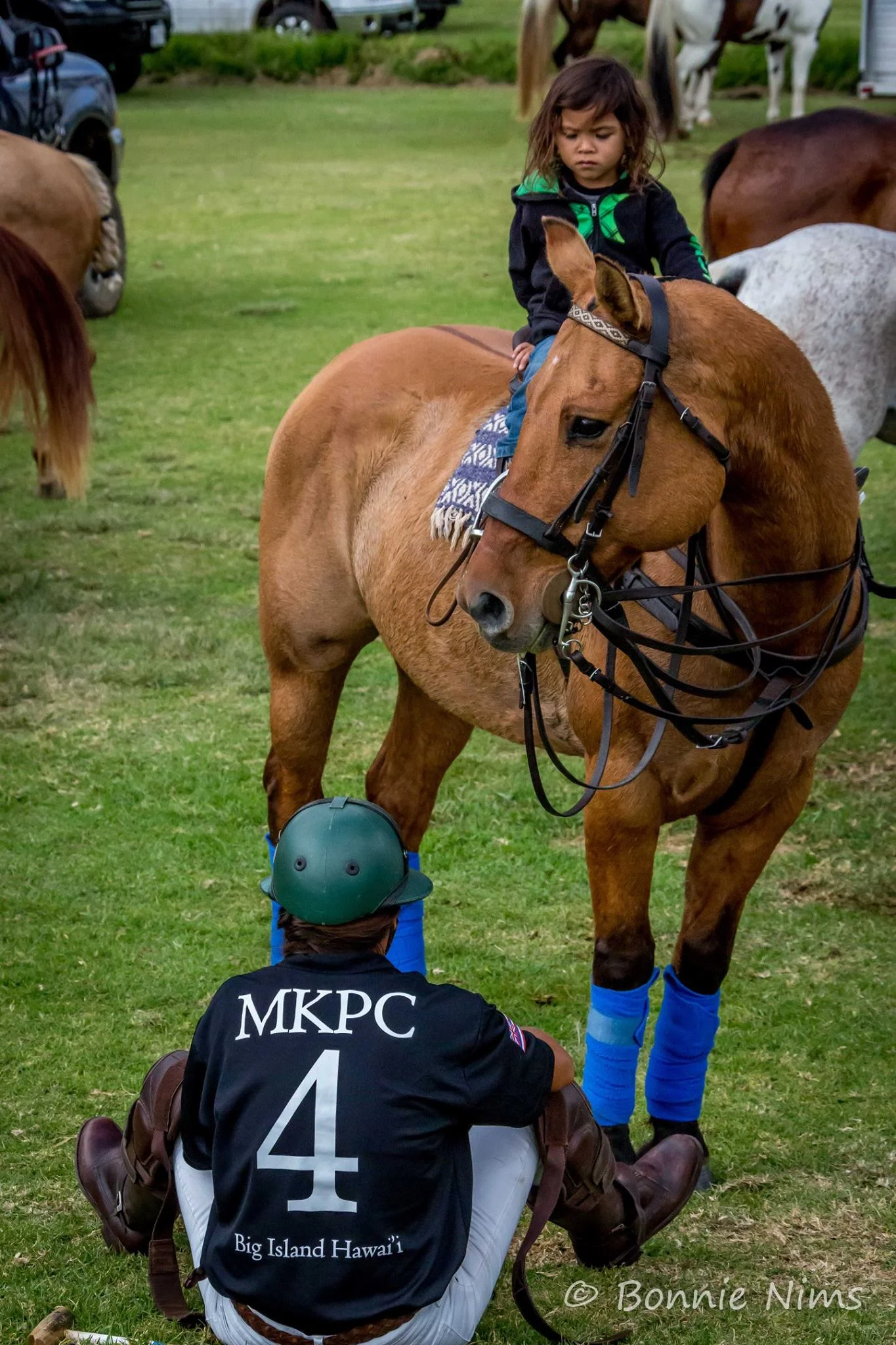 Polo in hawaii.jpg