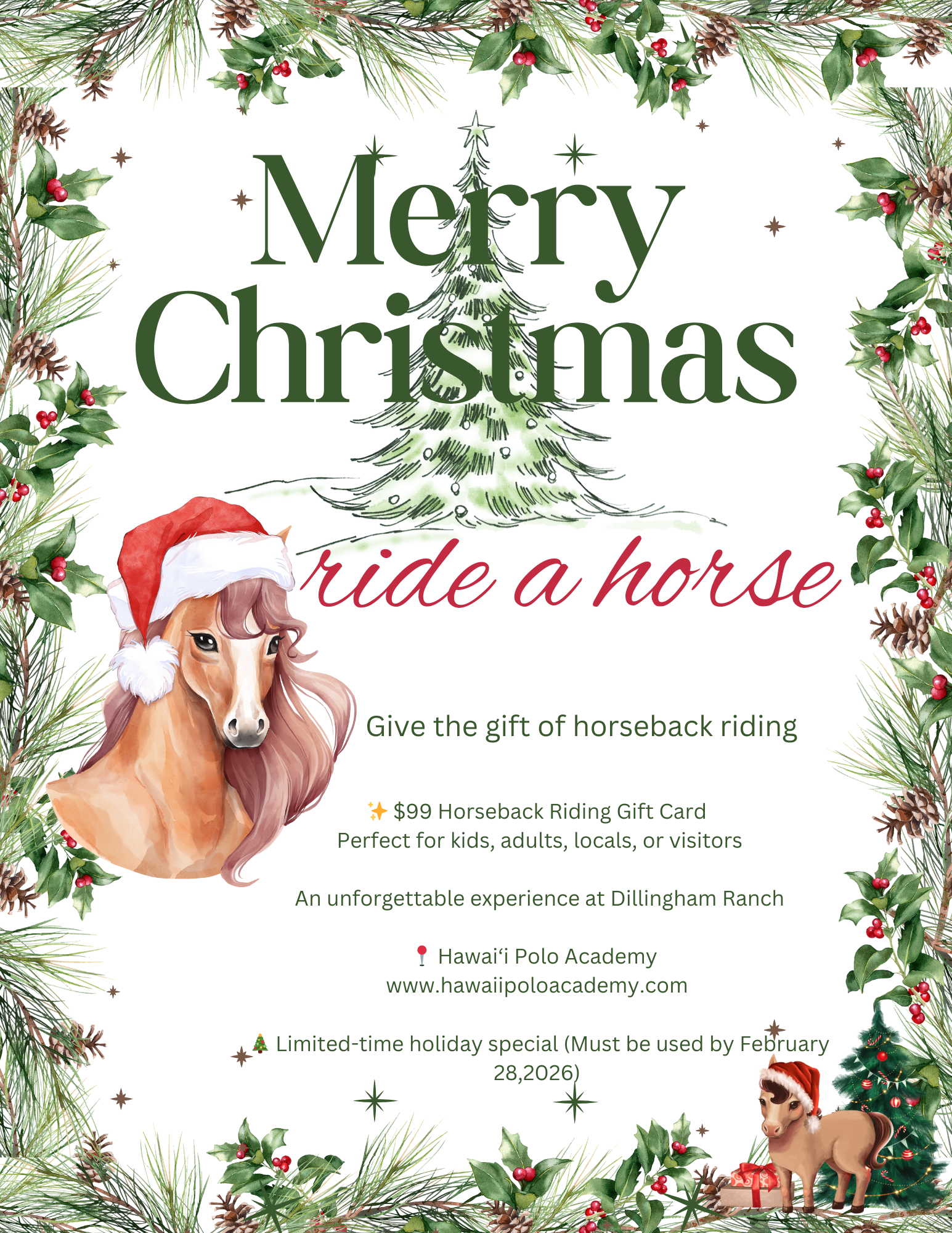 Merry Christmas! May this festive season be a time of celebration, reflection, and gratitude for the blessings in your life..png