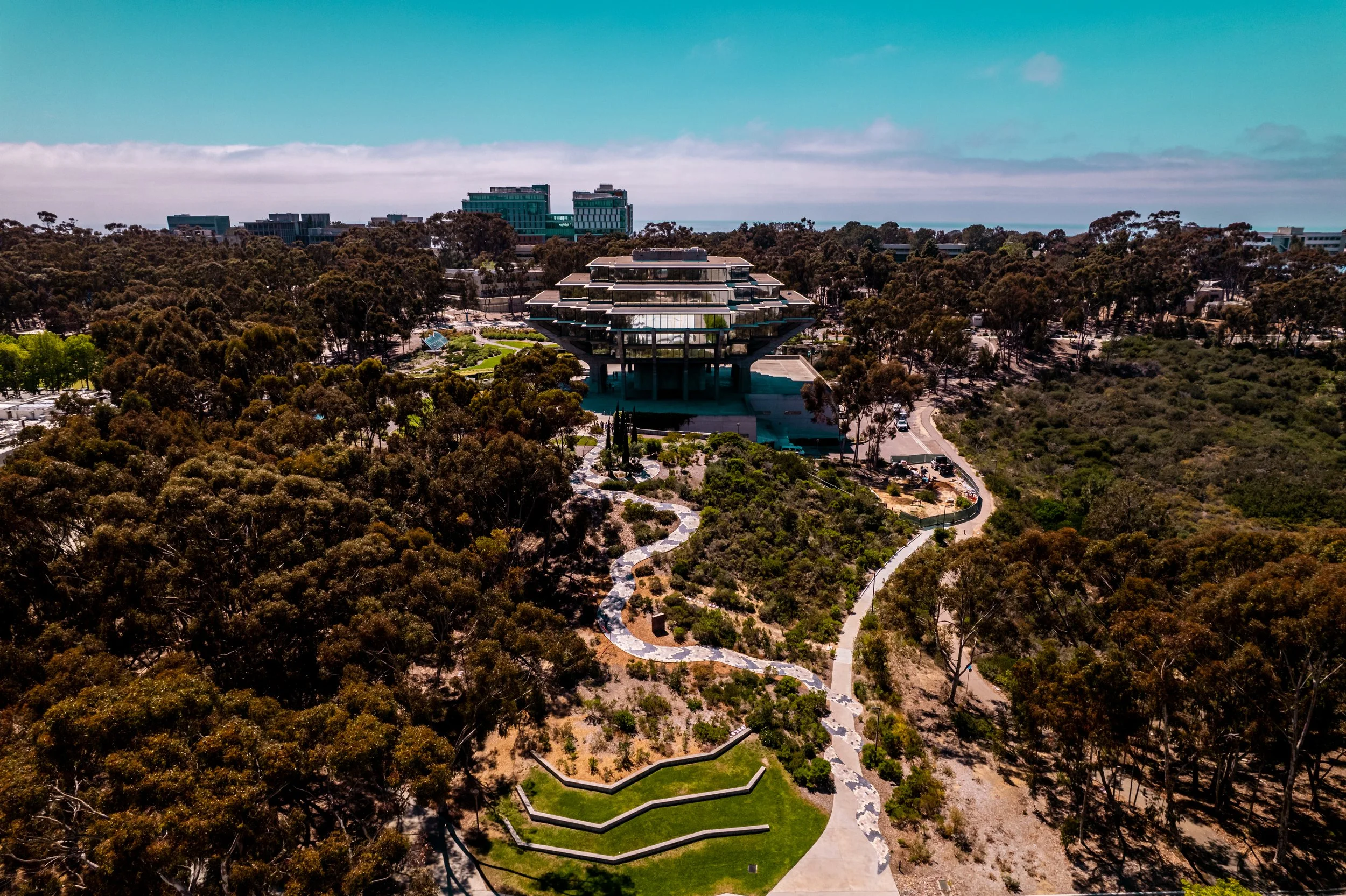 DJI_0212.jpg