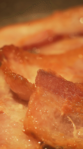 bacon1_AdobeExpress.gif