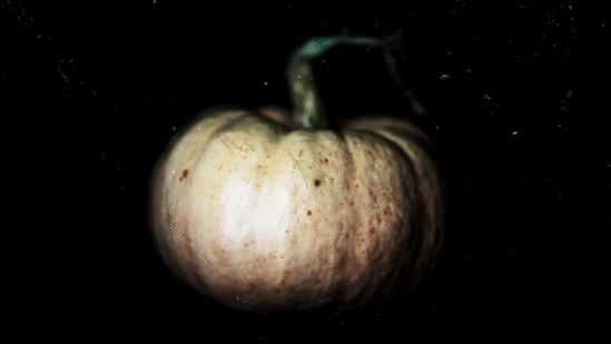 pumpkin_2__1__1__mp4_AdobeExpress.gif