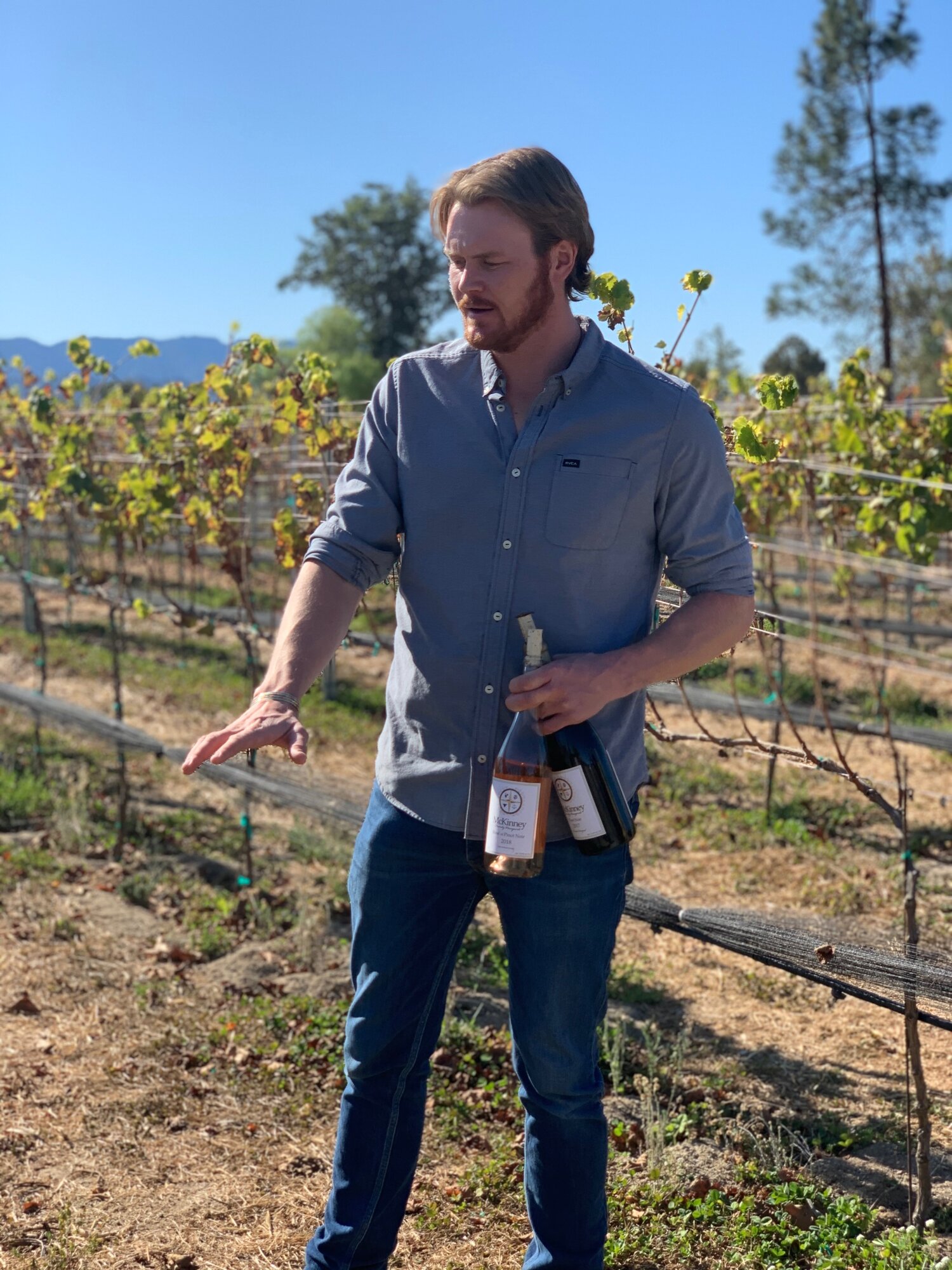 Assistant winemaker Justice teaching us about the vines.