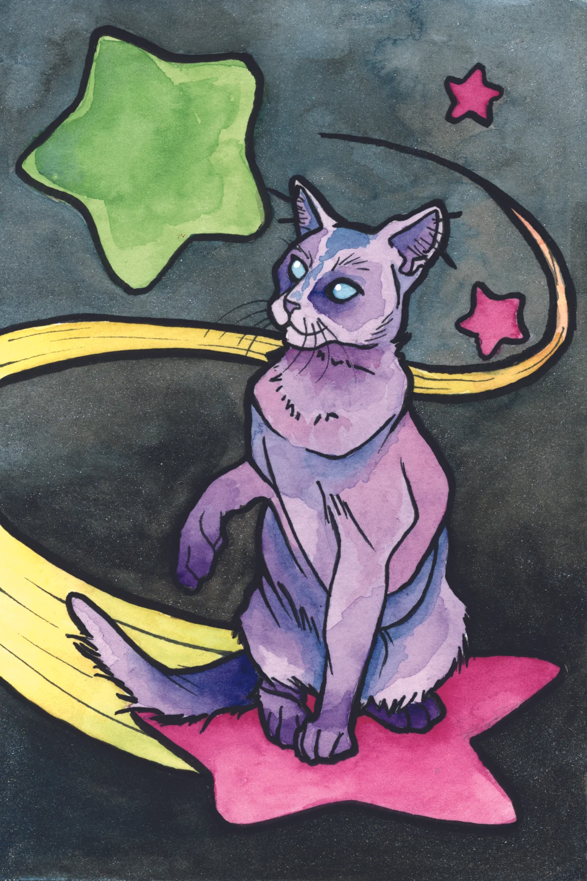 SpaceStarCat.jpg